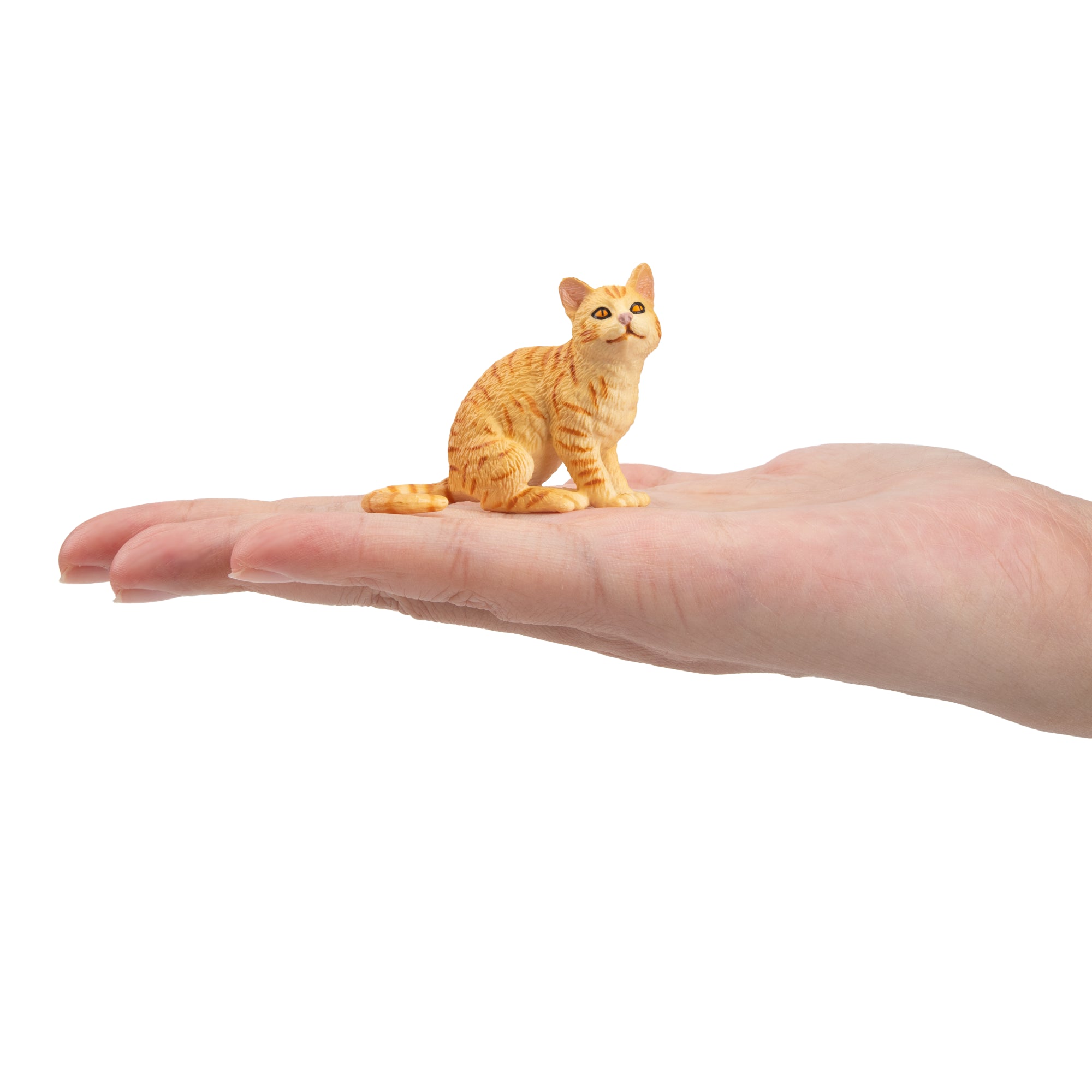 Toymany Mini Gazing Orange American Wirehair Cat Figurine Toy-on hand
