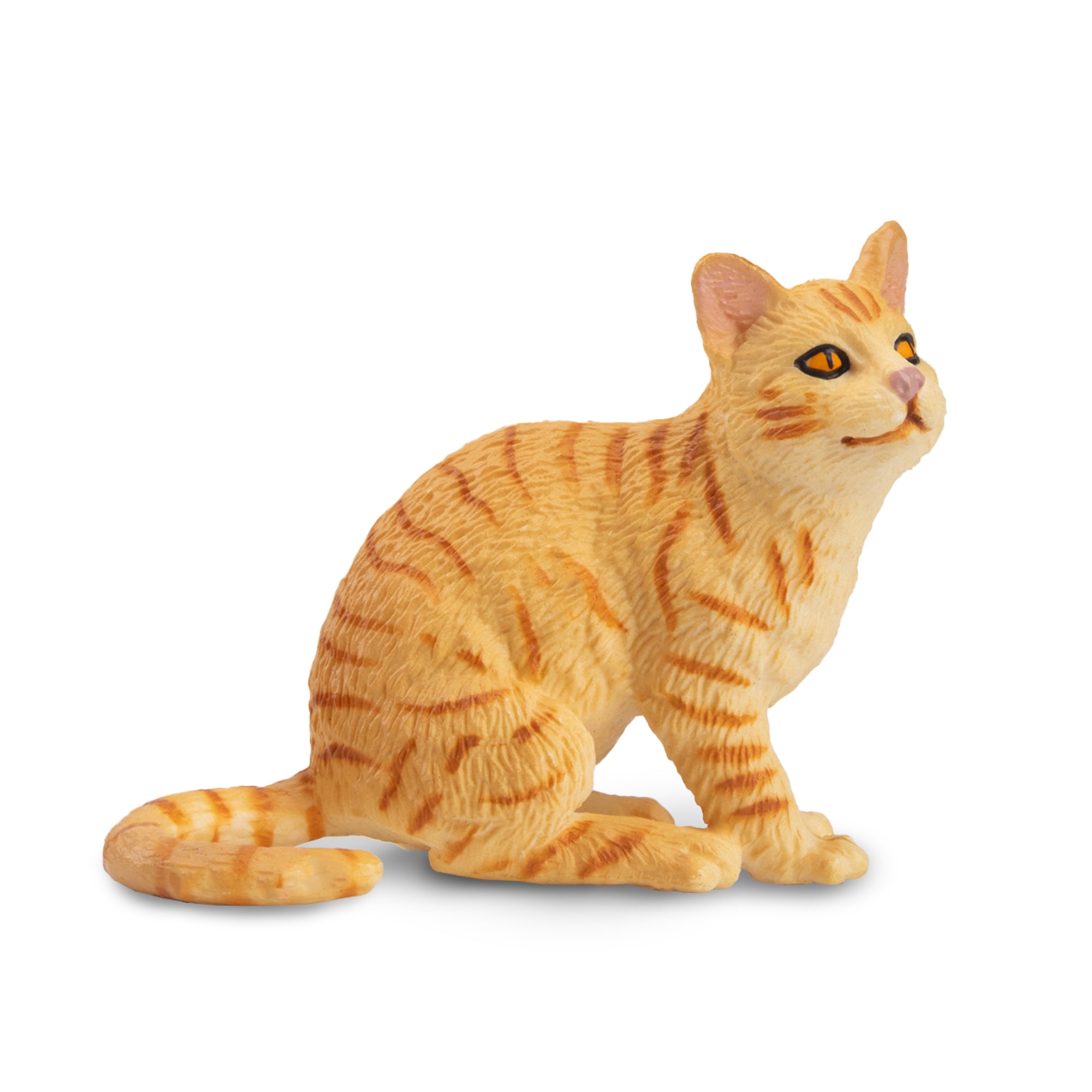 Toymany Mini Gazing Orange American Wirehair Cat Figurine Toy