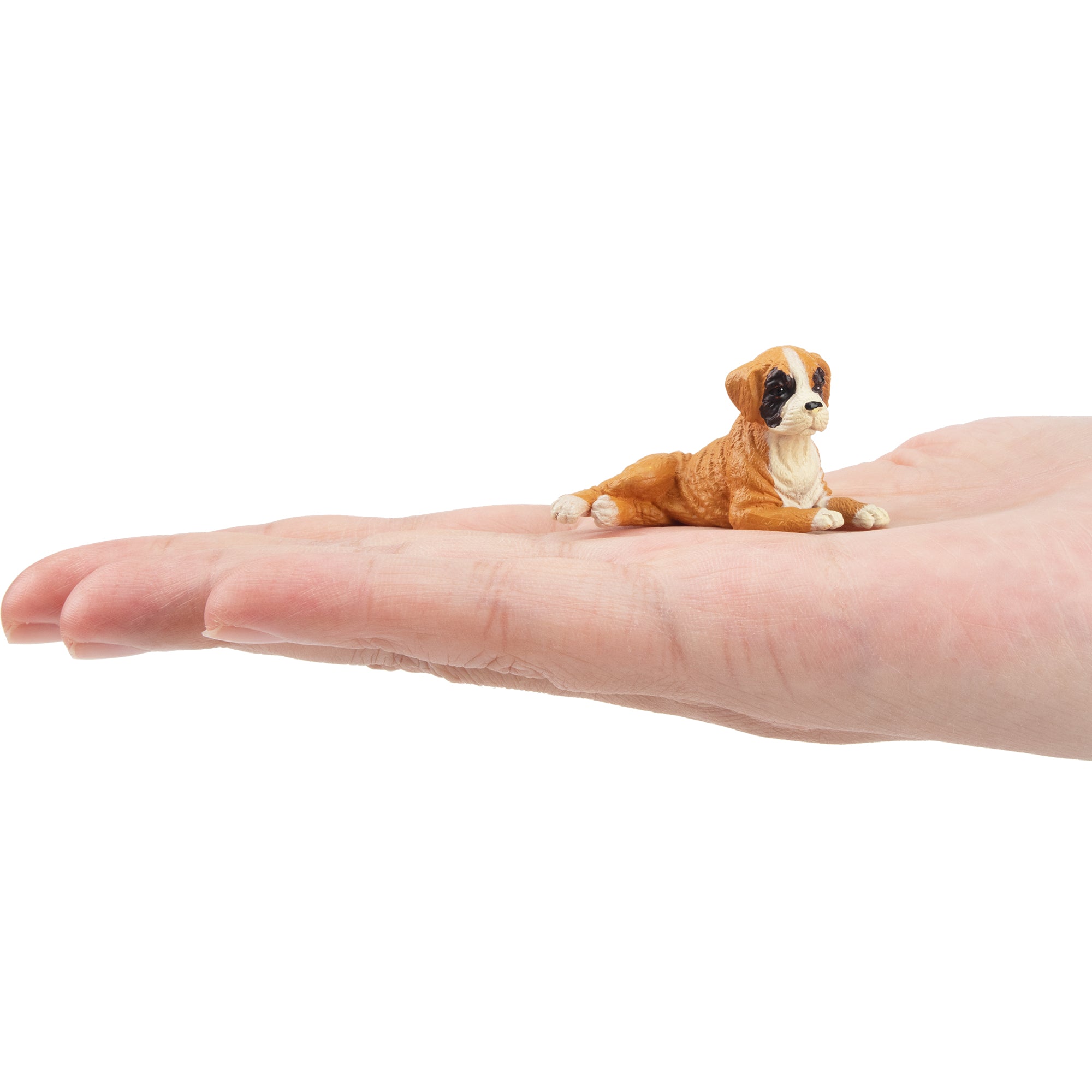 Toymany Mini Lying Boxer Puppy Figurine Toy-on hand