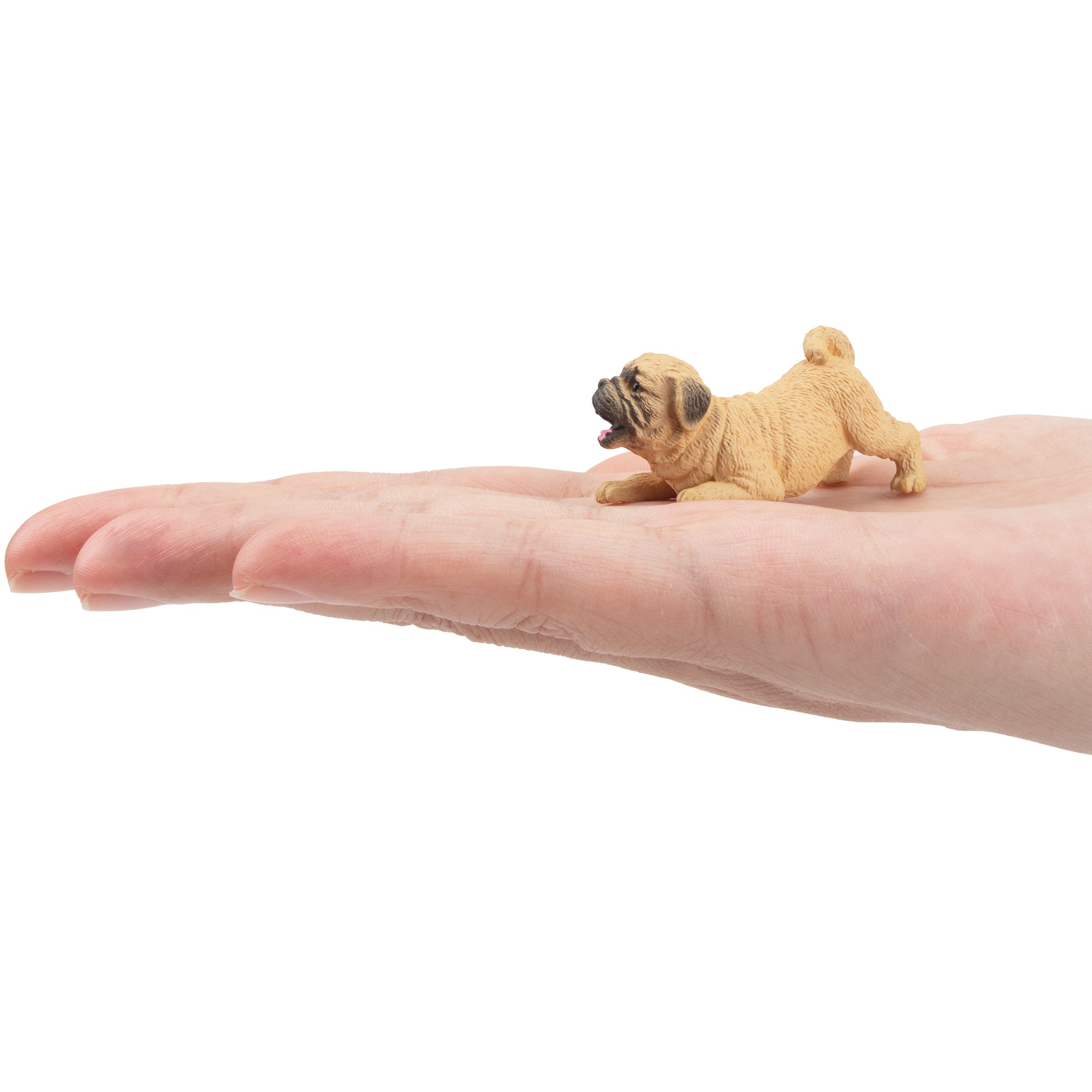 Toymany Mini Playful Pug Puppy Figurine Toy-on hand
