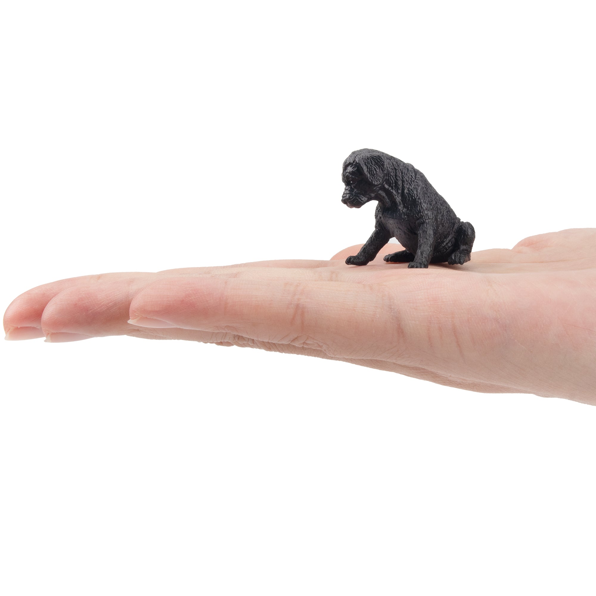 Toymany Mini Sitting Black Great Dane Puppy Figurine Toy-on hand