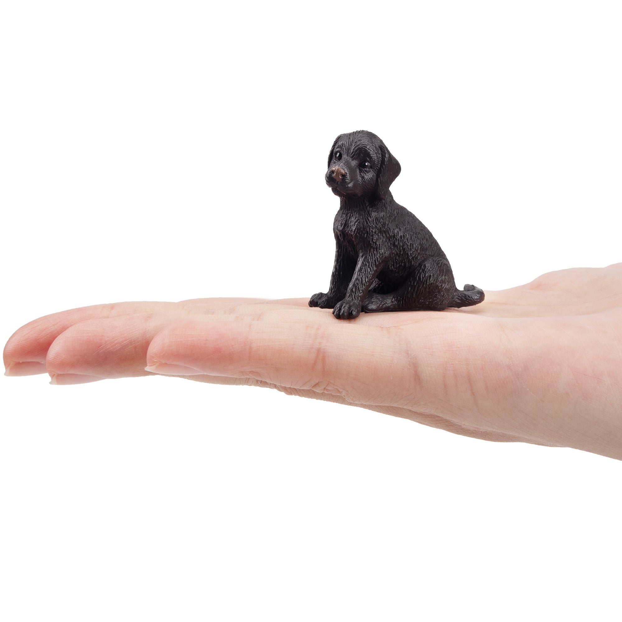 Toymany Mini Sitting Black Labrador Retriever Puppy Figurine Toy-on hand