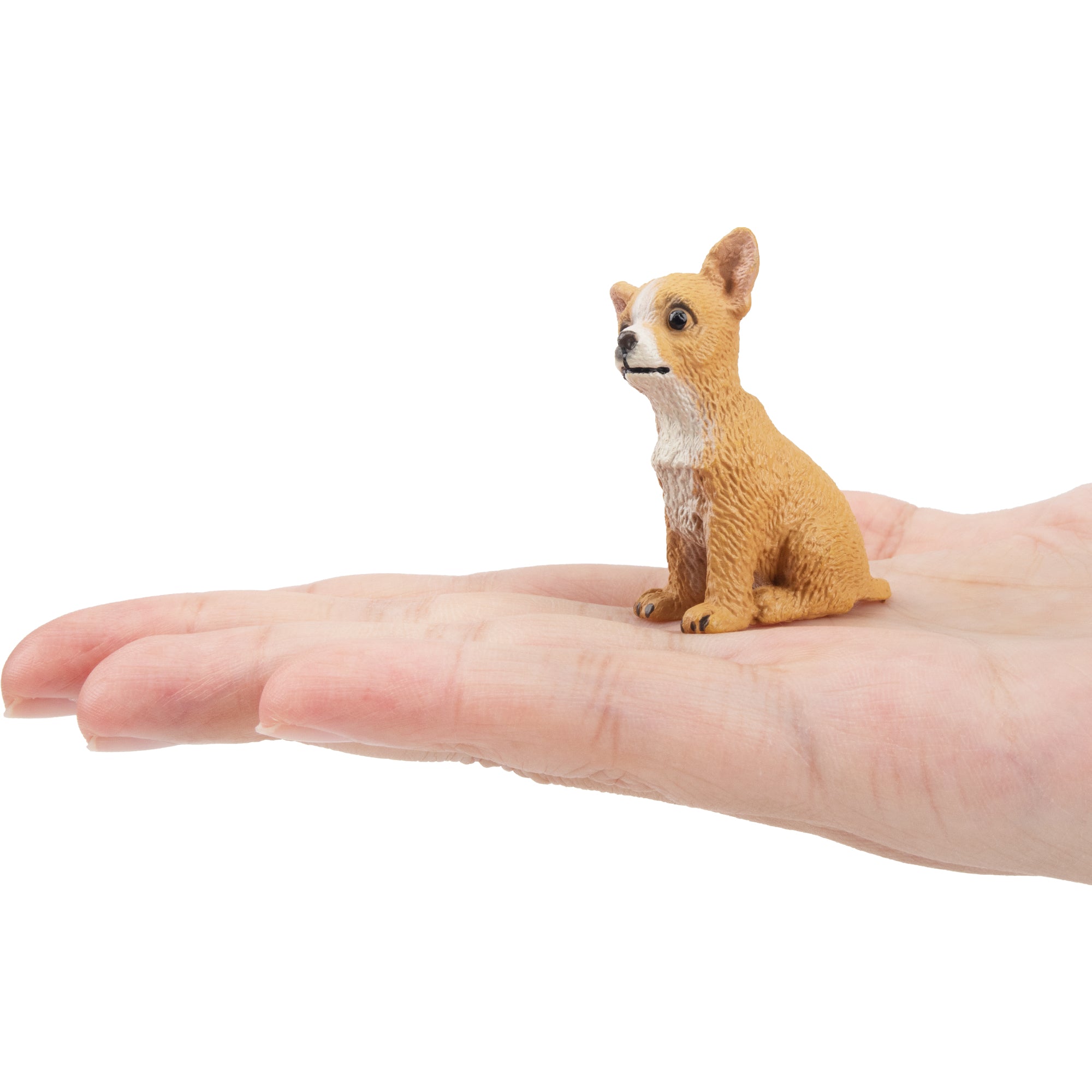 Toymany Mini Sitting Fawn Chihuahua Puppy Figurine Toy-on hand