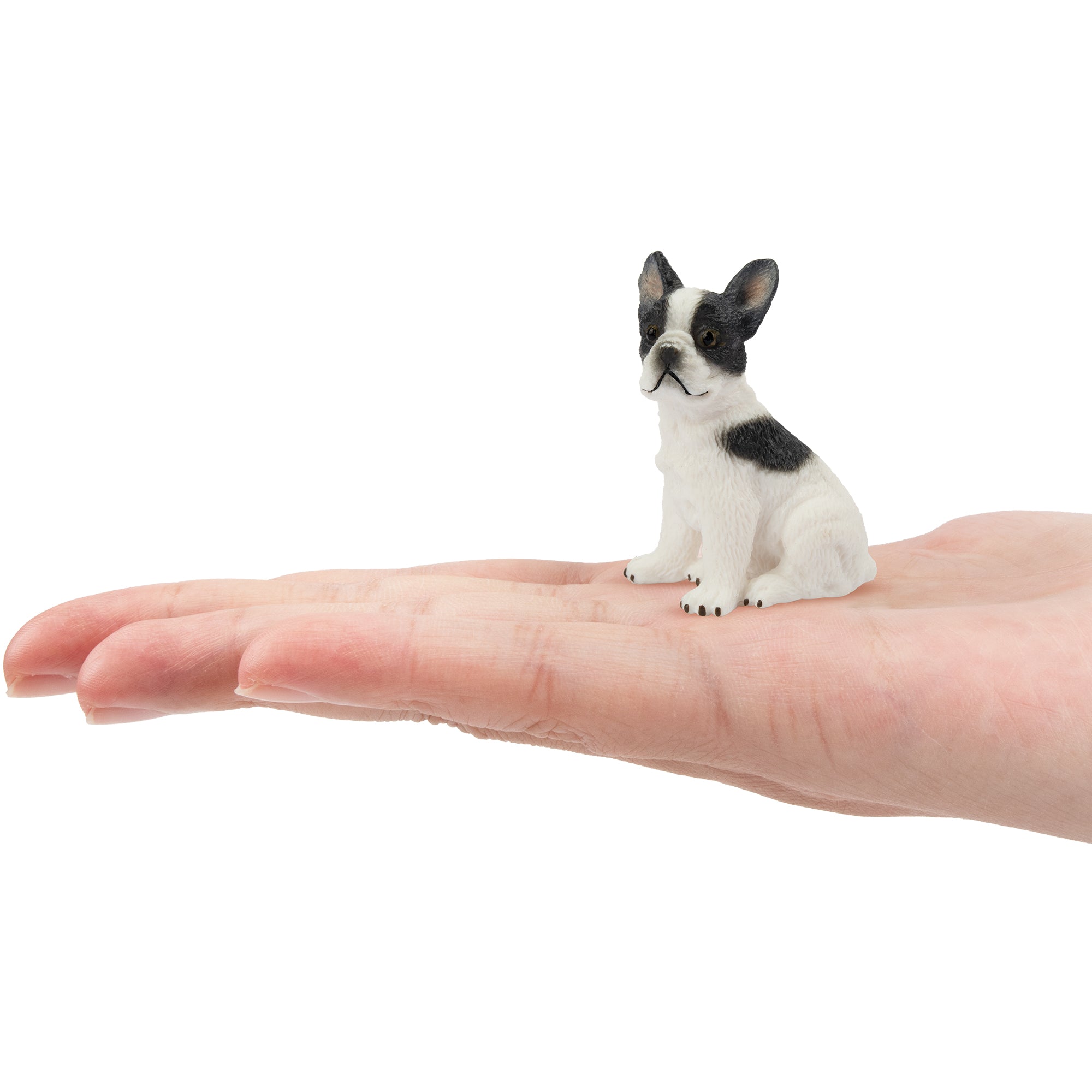 Toymany Mini Sitting French Bulldog Puppy Figurine Toy-on hand