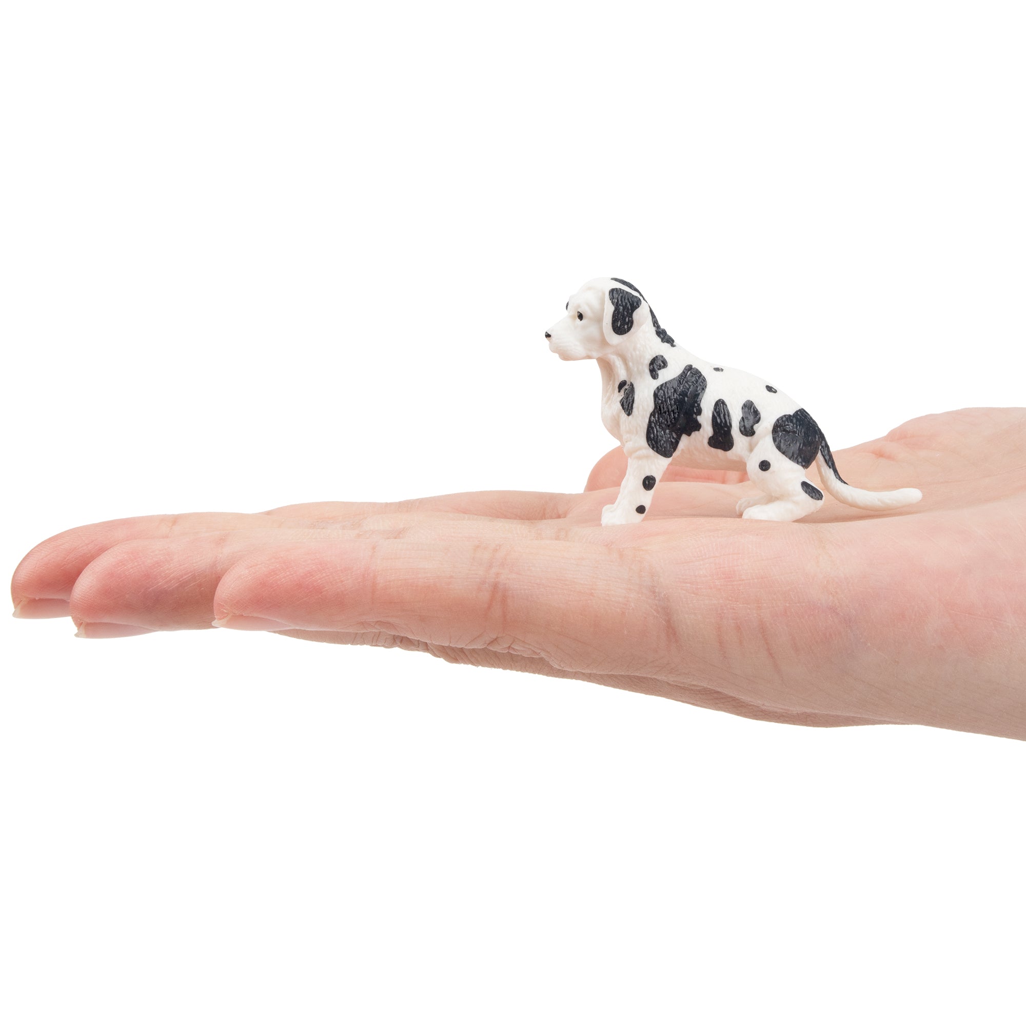 Toymany Mini Sitting Great Dane Puppy Figurine Toy-on hand