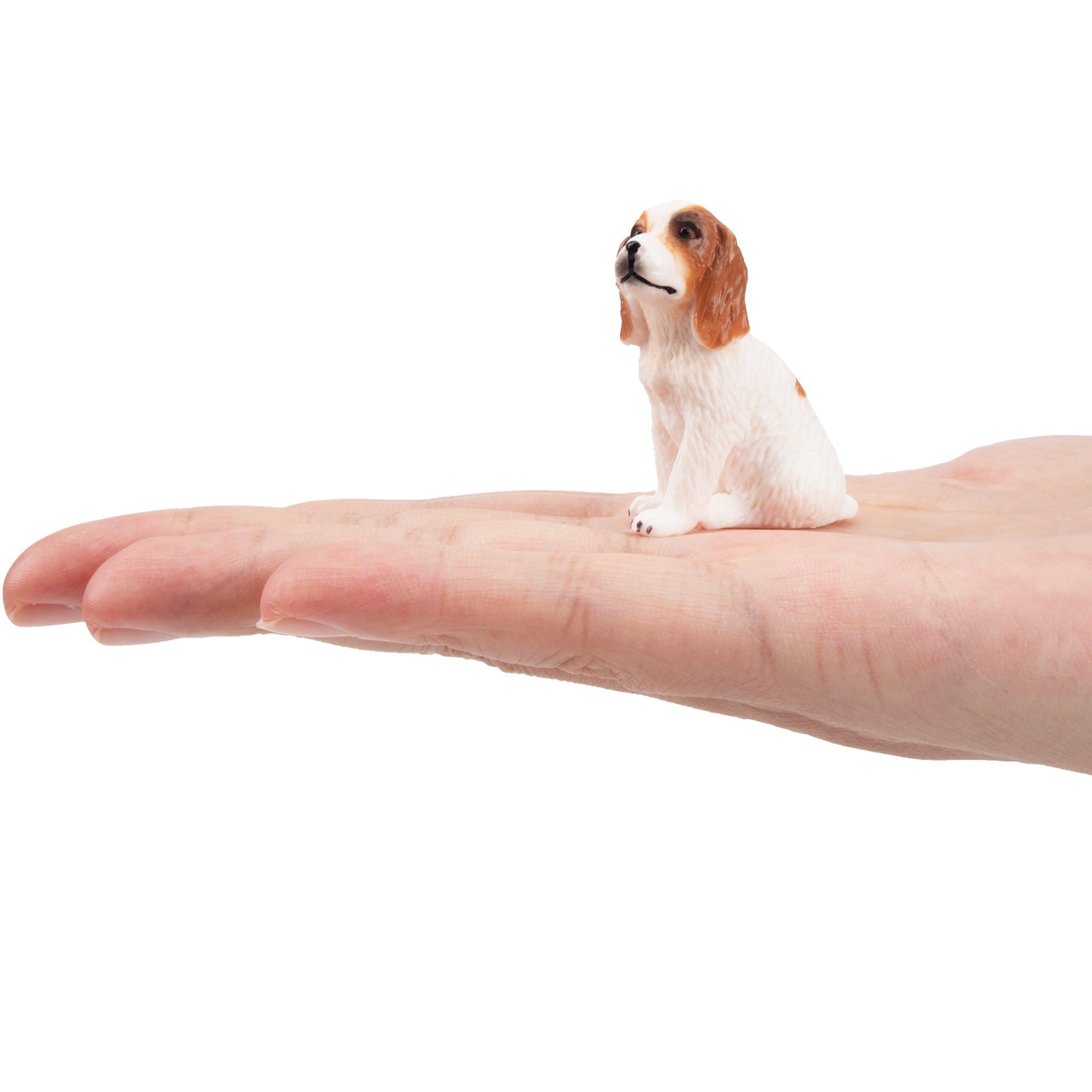 Toymany Mini Sitting Liver and White Cocker Spaniel Puppy Figurine Toy-on hand