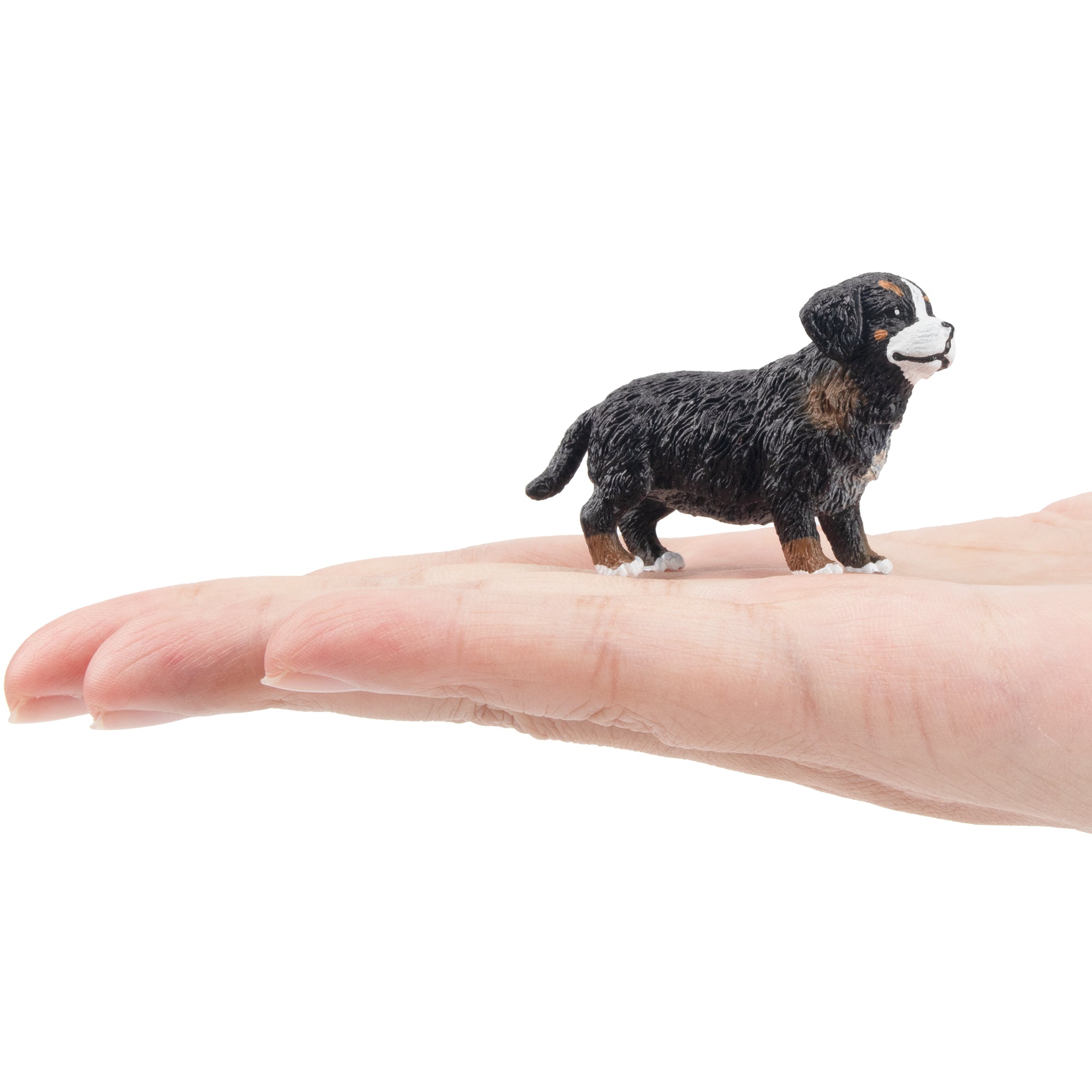 Toymany Mini Standing Bernese Mountain Dog Puppy Figurine Toy-on hand