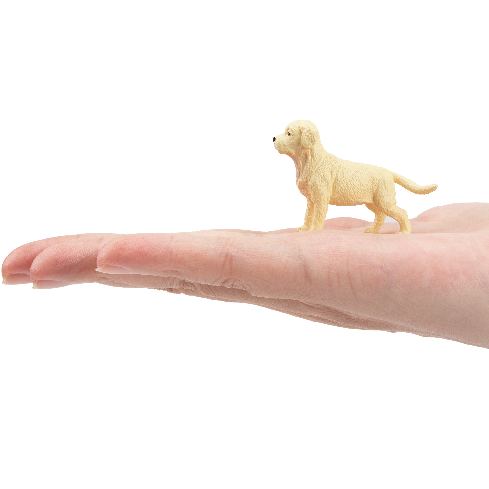 Toymany Mini Standing White Boxer Puppy Figurine Toy-on hand
