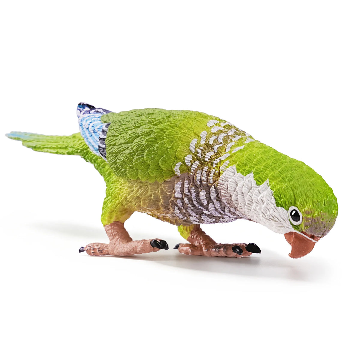 Toymany Monk Parakeet Figurine Toy-2