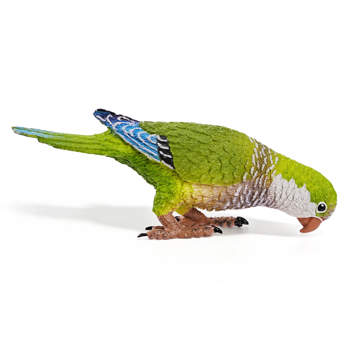Toymany Monk Parakeet Figurine Toy-4