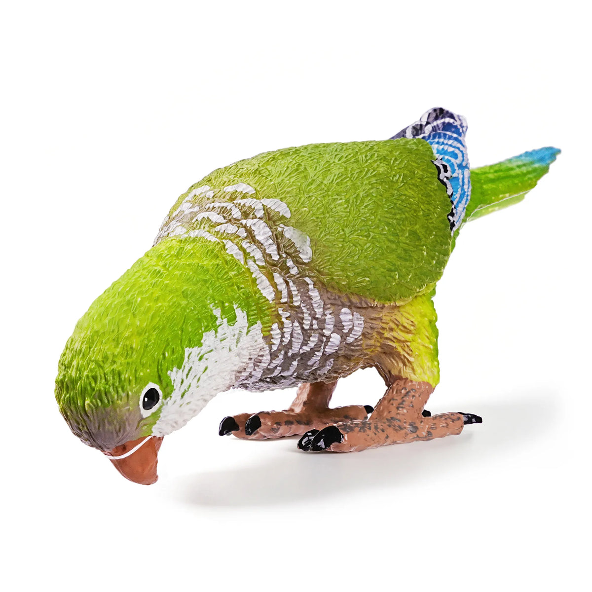 Toymany Monk Parakeet Figurine Toy-front