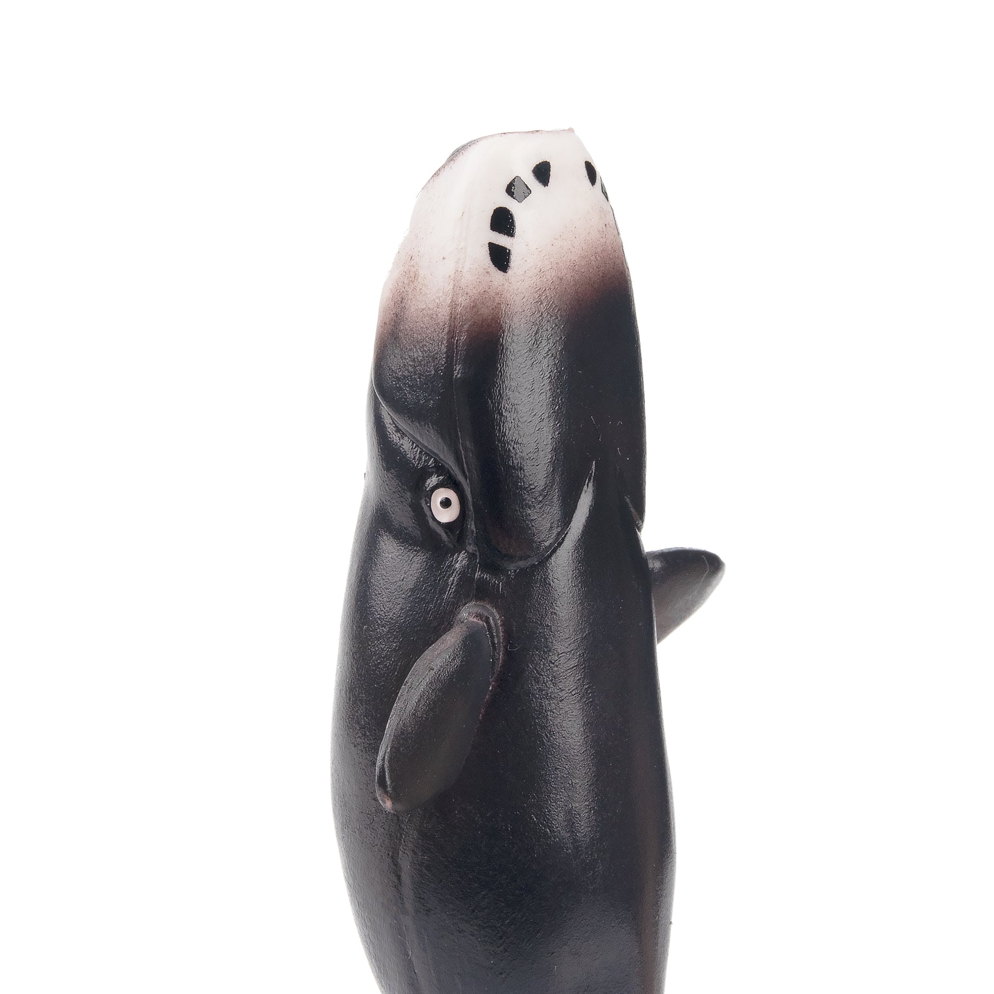 Toymany North Pacific Right Whale Figurine Toy-detail