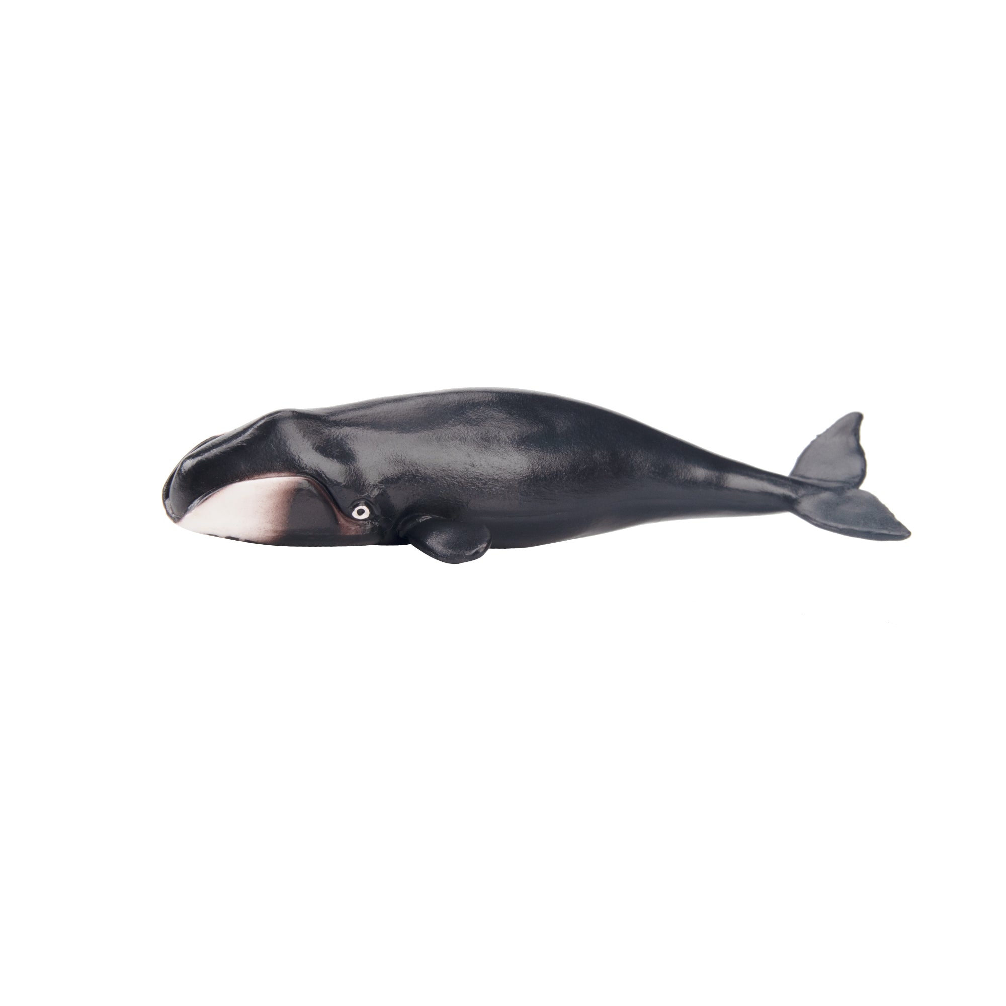 Toymany North Pacific Right Whale Figurine Toy