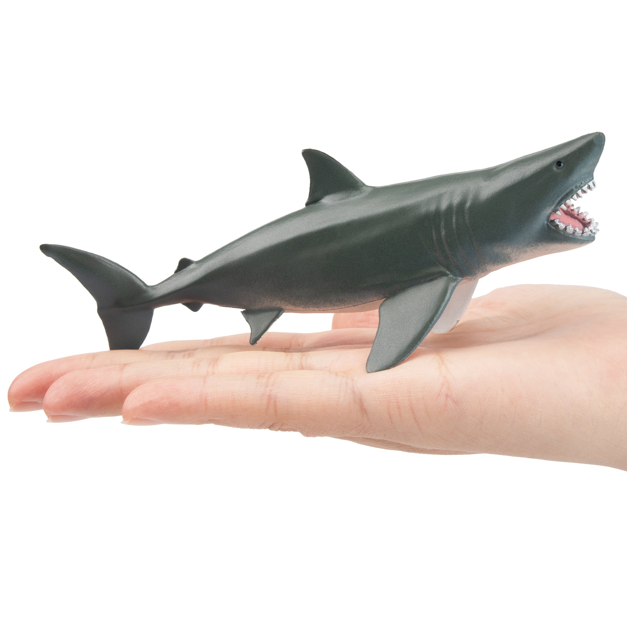 Toymany Open-Mouthed Great White Shark Figurine Toy-on hand