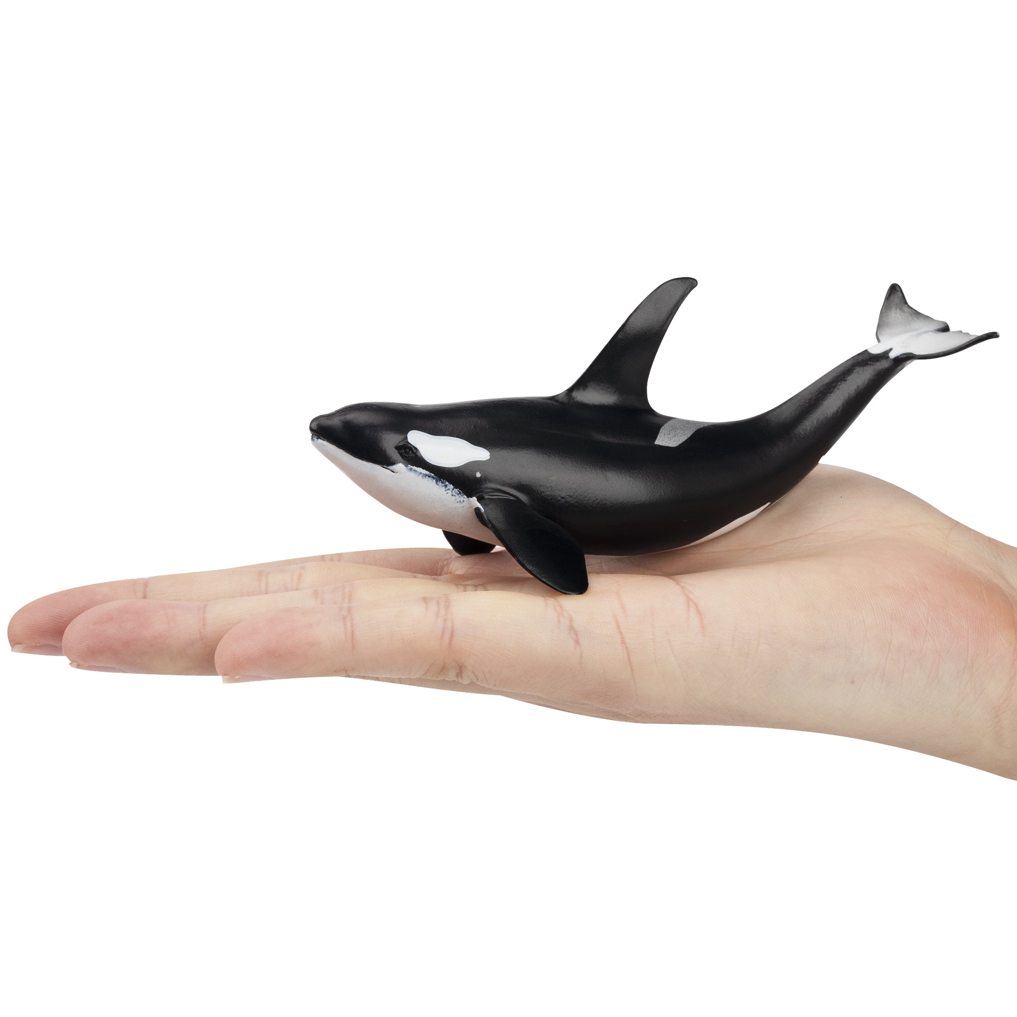 Toymany Orca Figurine Toy-on hand