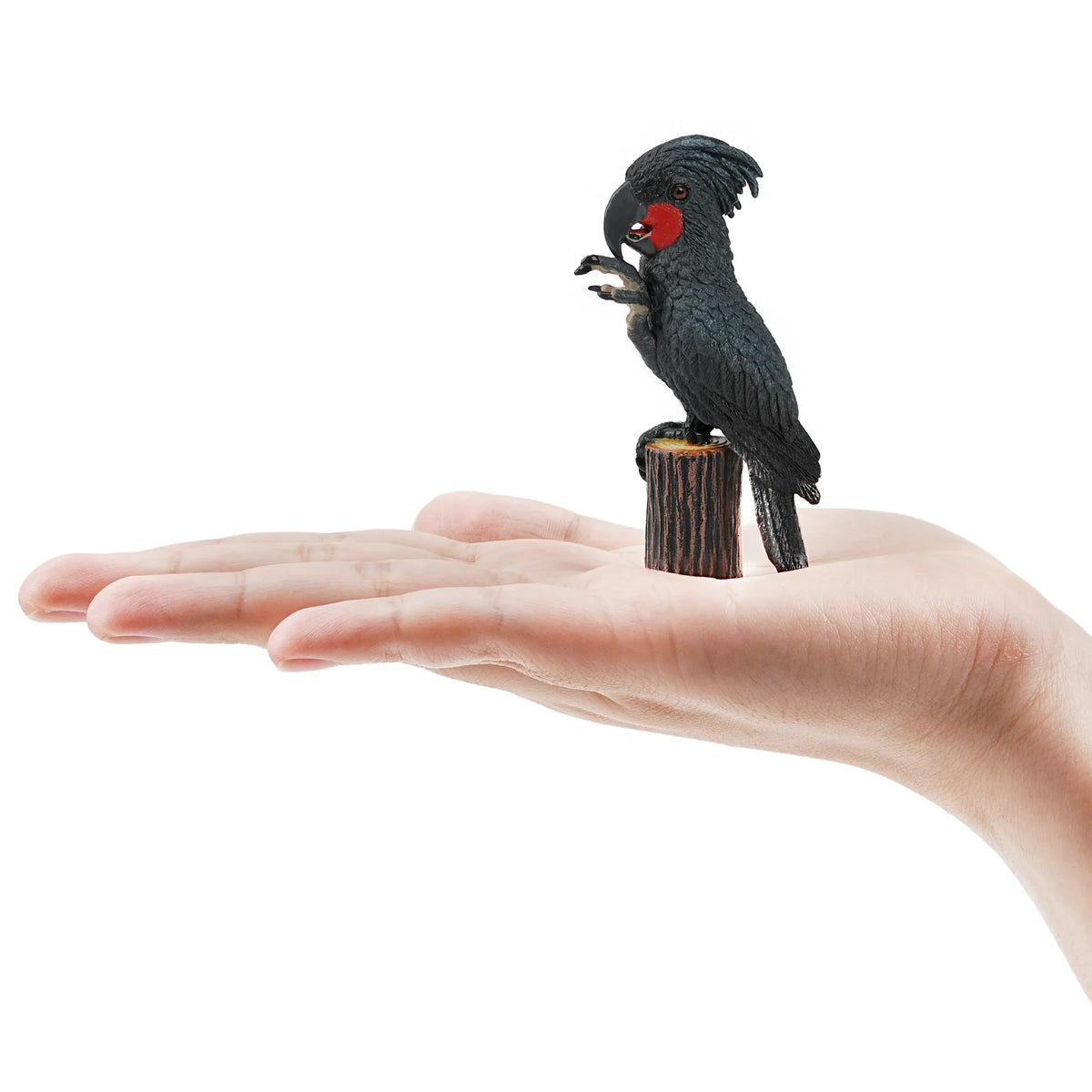Toymany Palm Cockatoo Figurine Toy-on hand