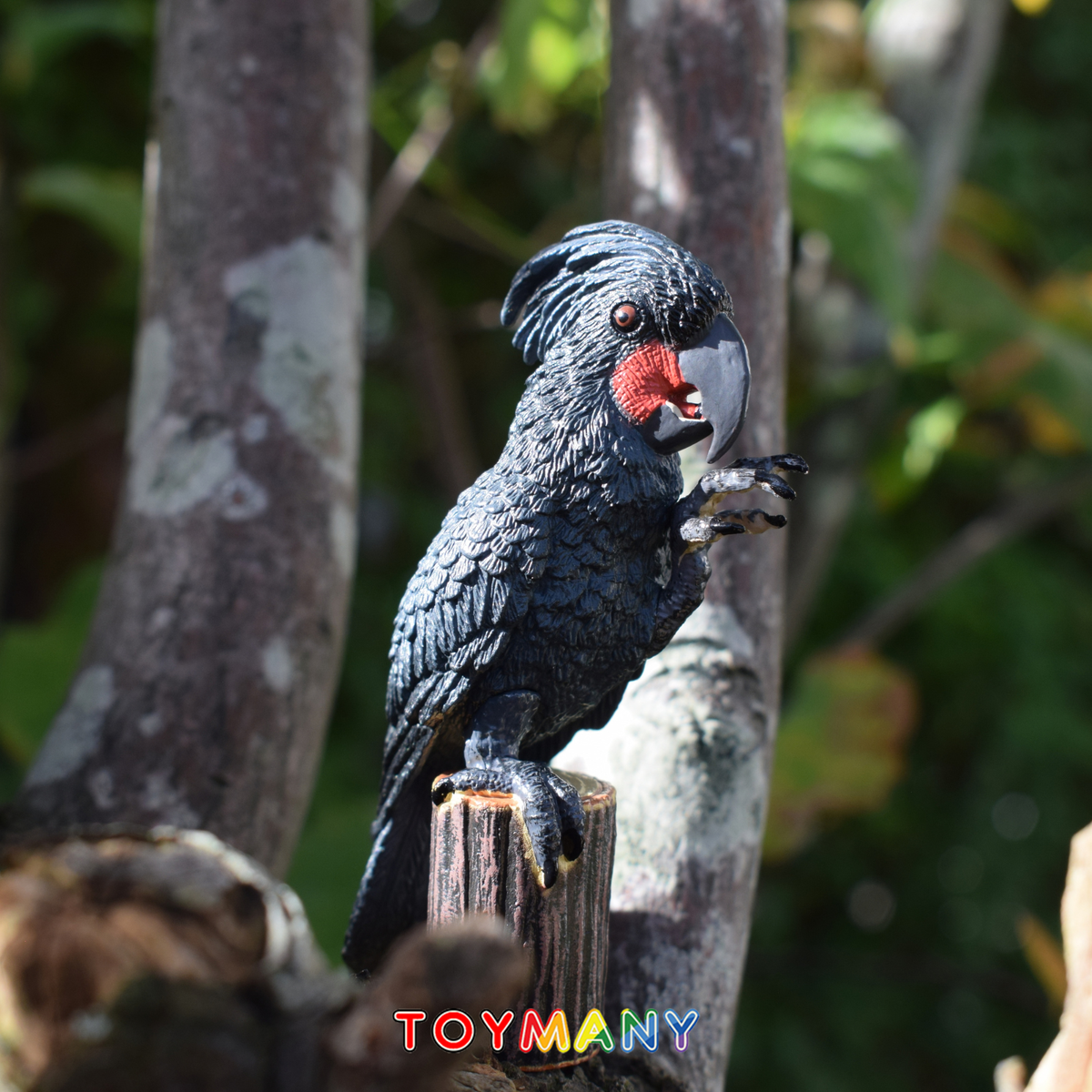 Toymany Palm Cockatoo Figurine Toy-scene