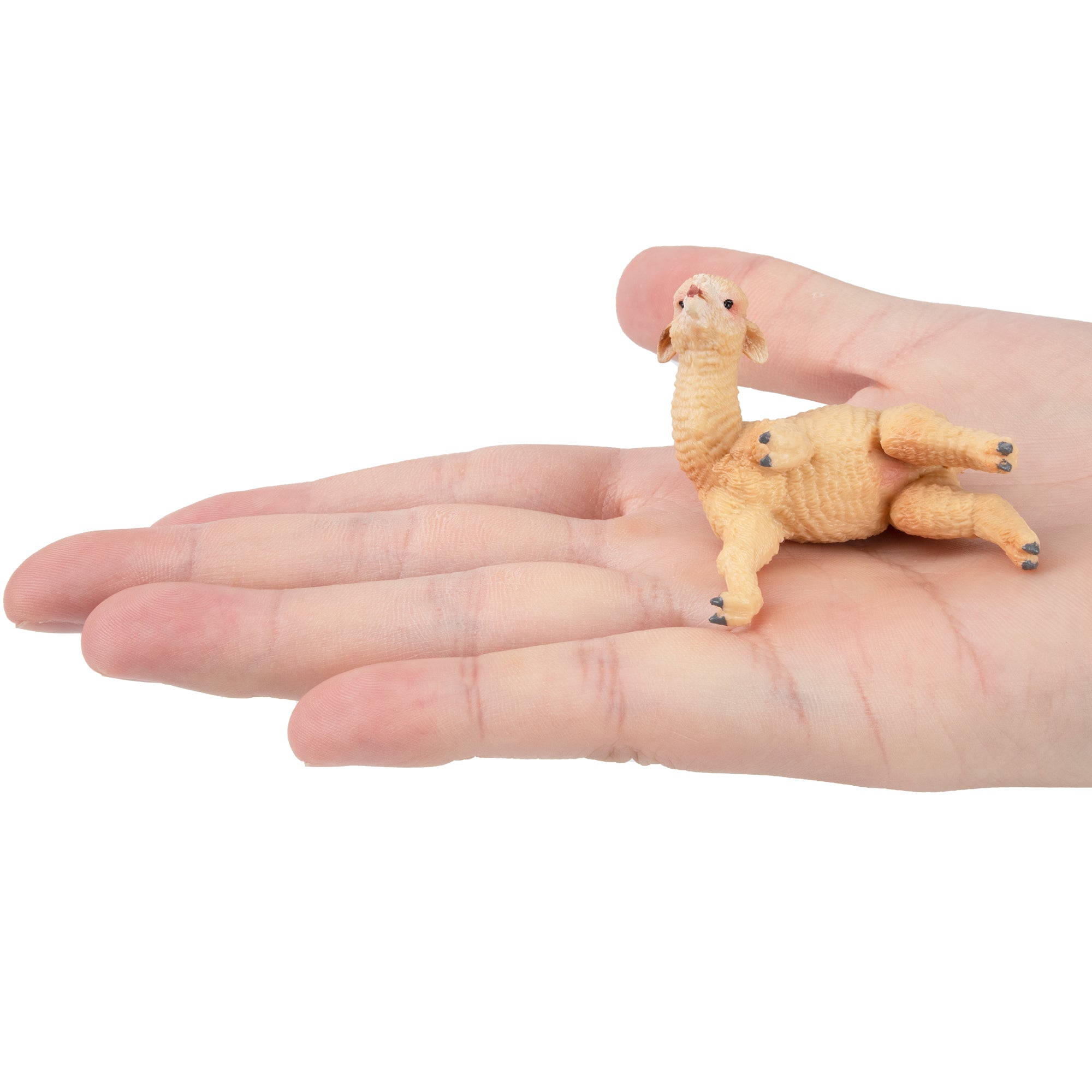 Toymany Playful Alpaca Baby Figurine Toy-on hand