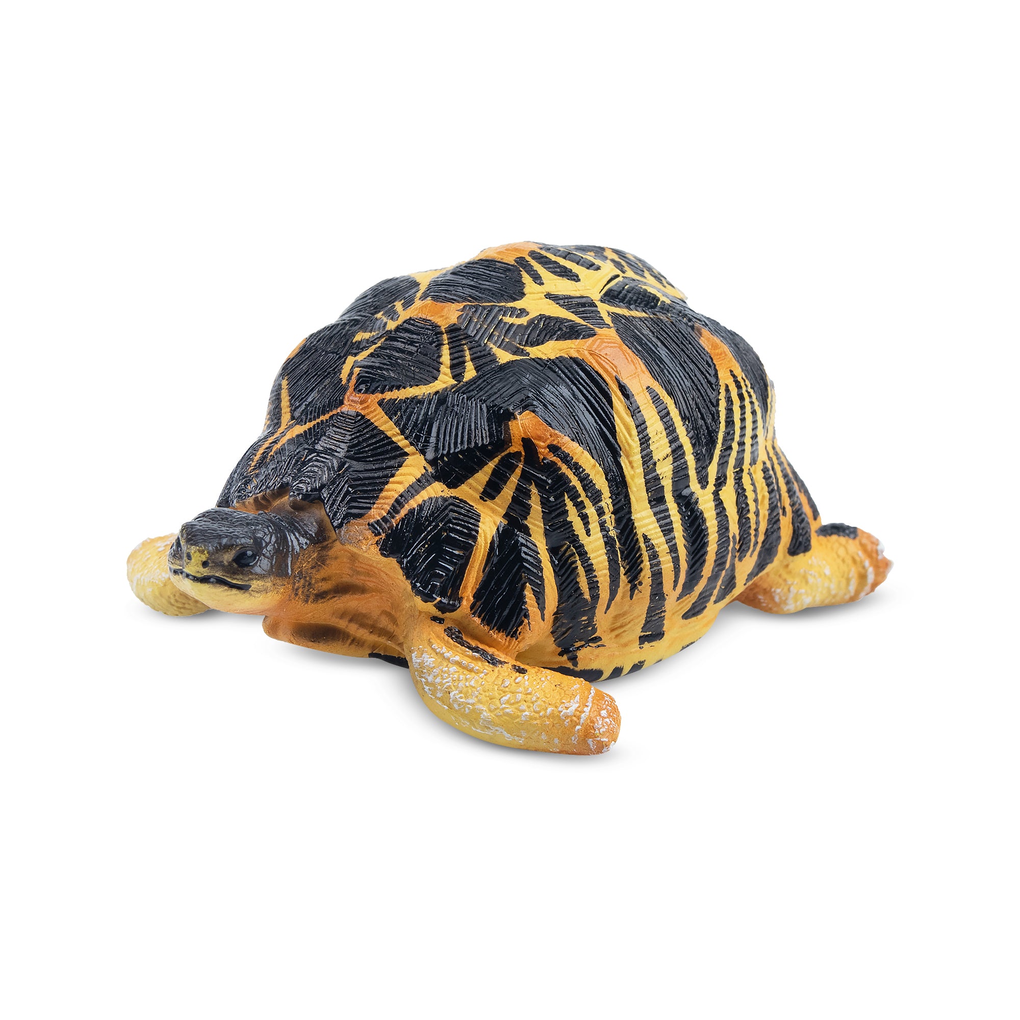 Toymany Radiated Tortoise Figurine Toy-`