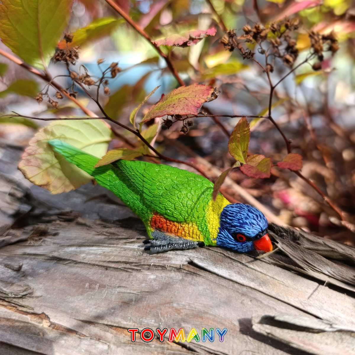 Toymany Rainbow Lorikeet Figurine Toy-scene