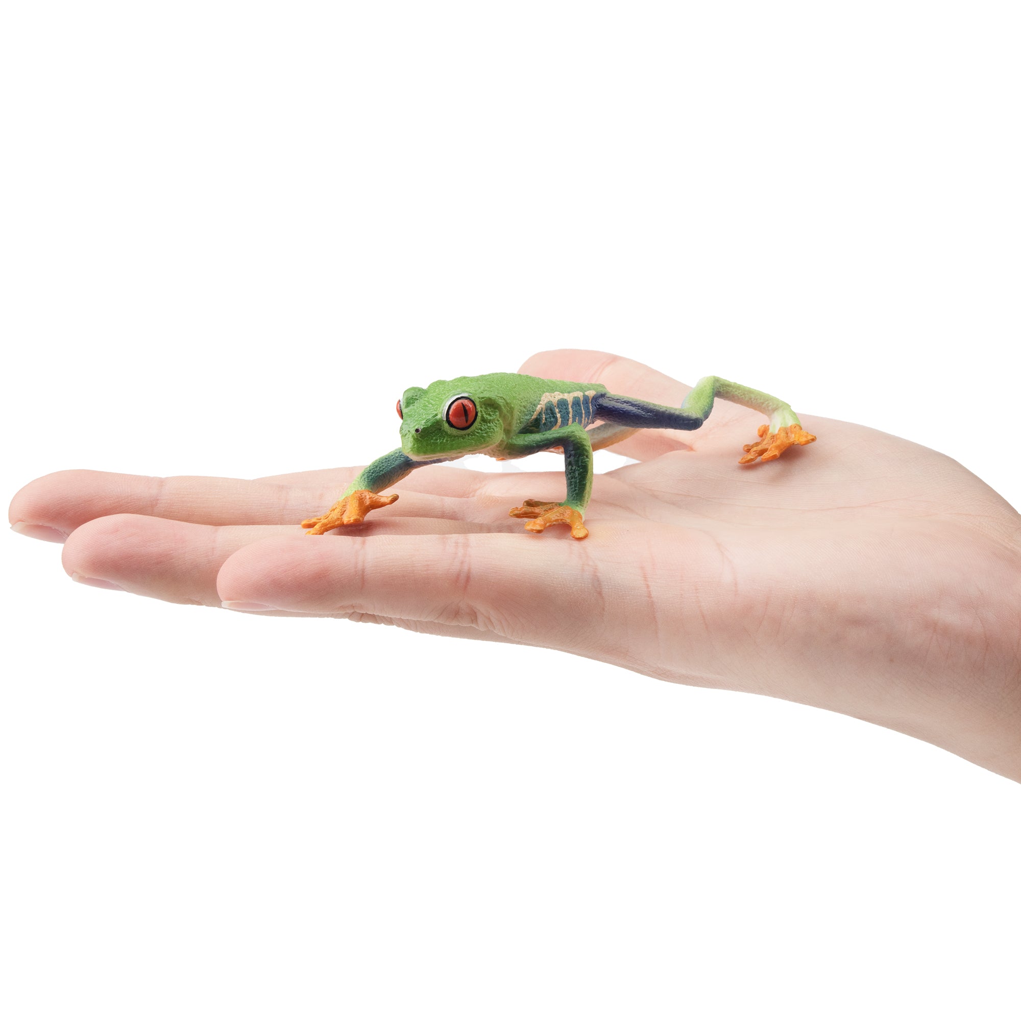 Toymany Red-eyed Tree Frog Figurine Toy-on hand