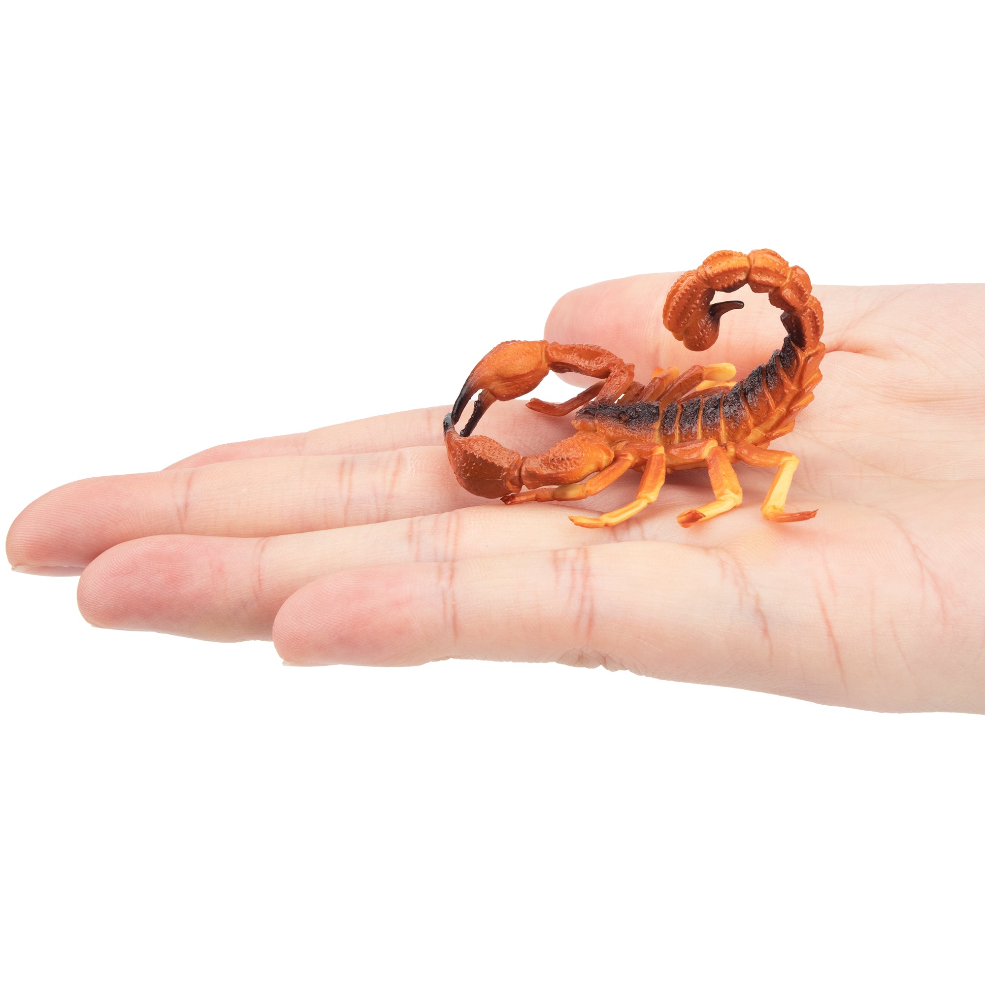 Toymany Red Scorpion Figurine Toy-on hand