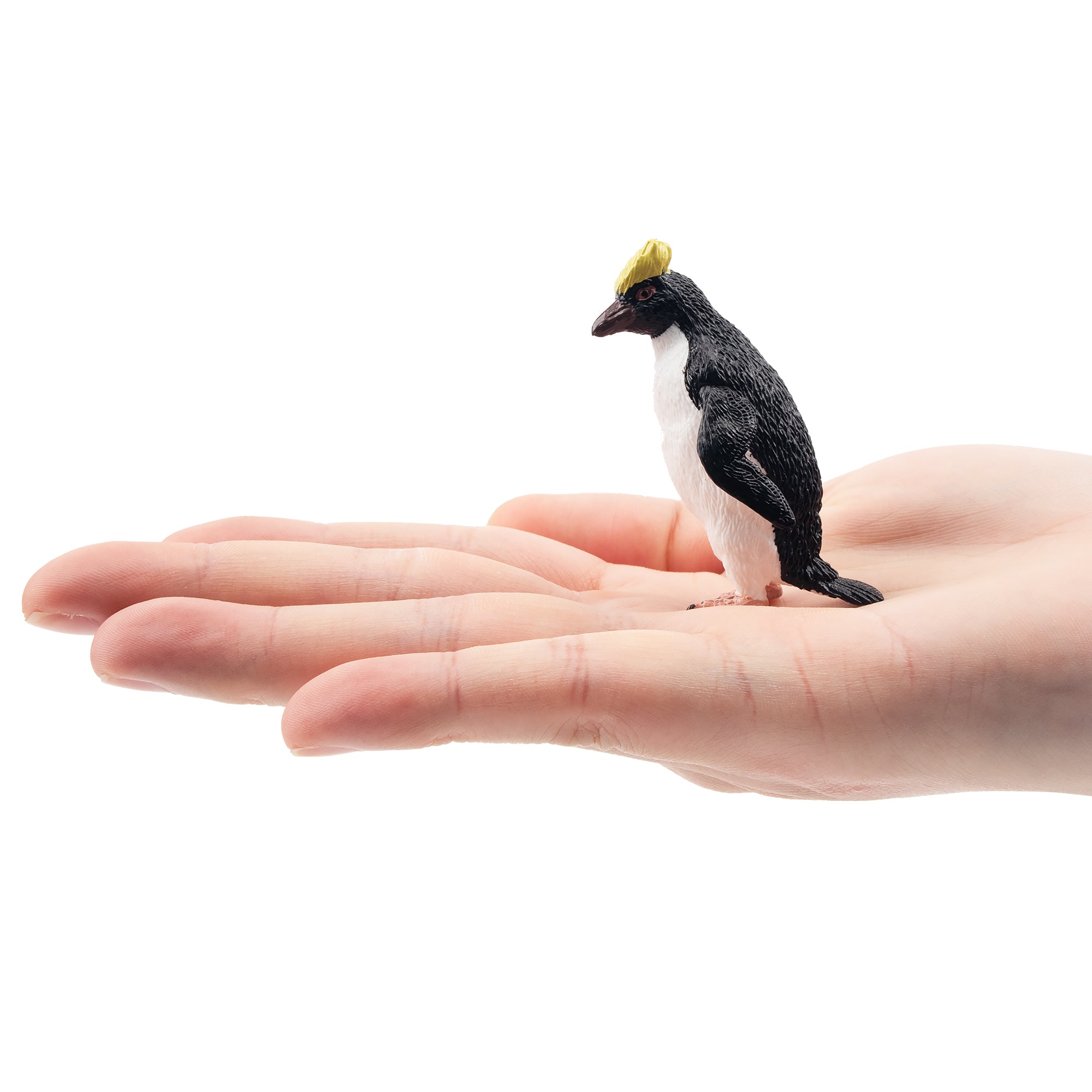 Toymany Rockhopper Penguin Figurine Toy-on hand