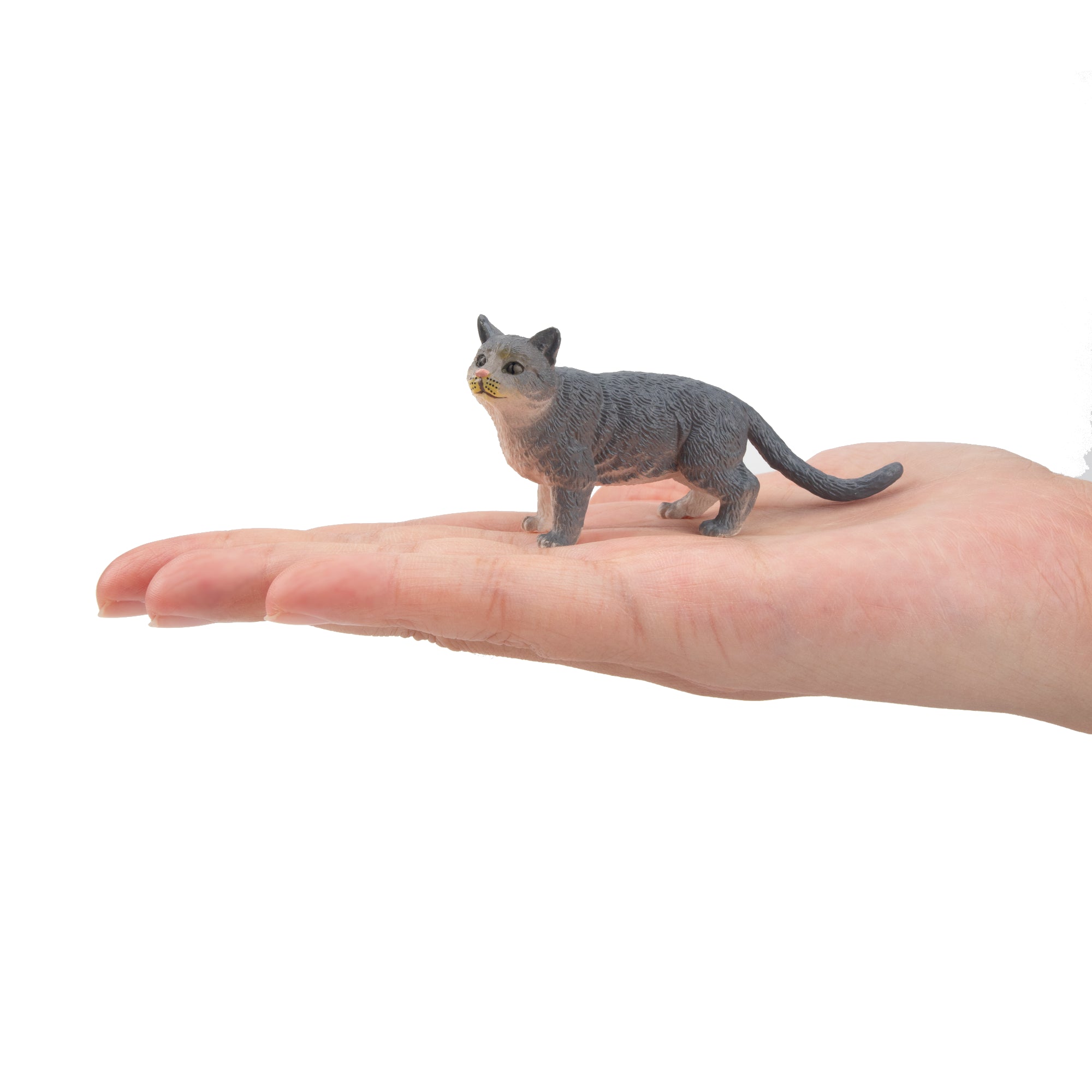 Toymany Russian Blue Cat Figurine Toy-on hand