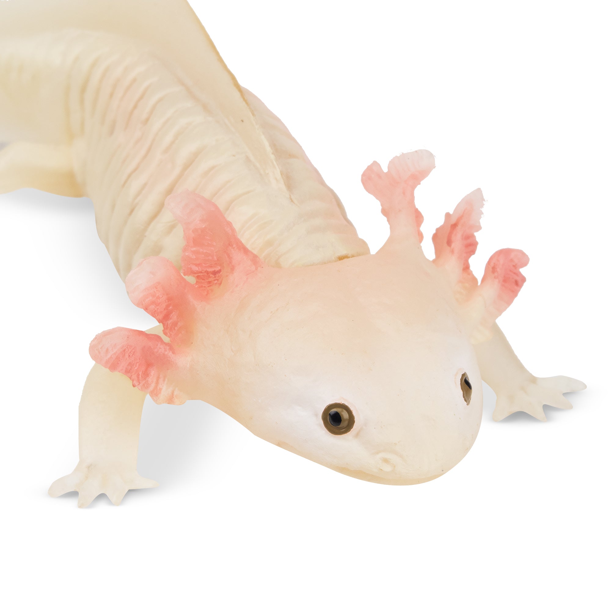 Toymany Salamander Figurine Toy-detail