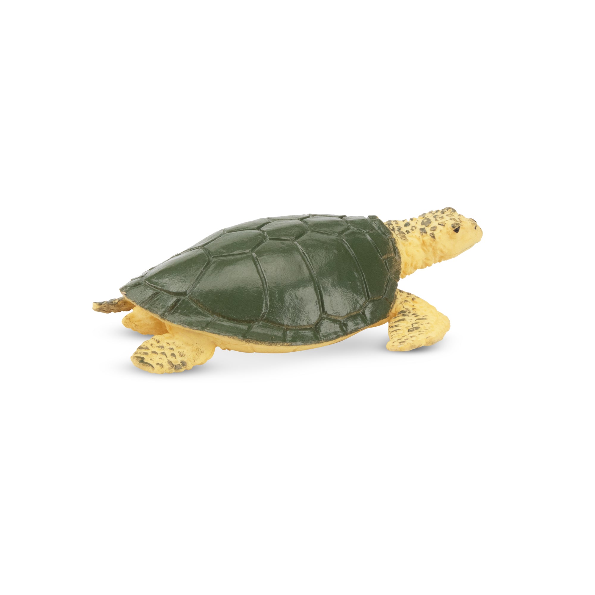 Toymany  Sea Turtle Figurine Toy-2