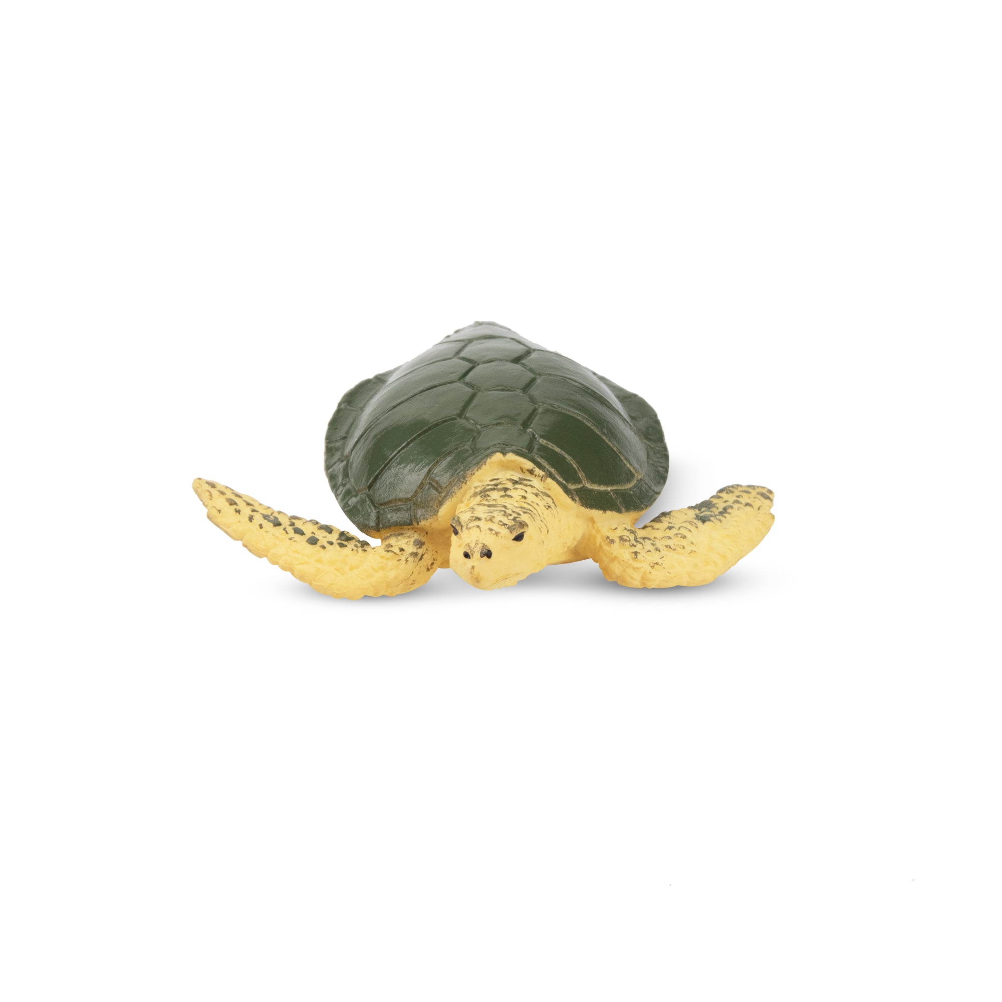 Toymany  Sea Turtle Figurine Toy-front