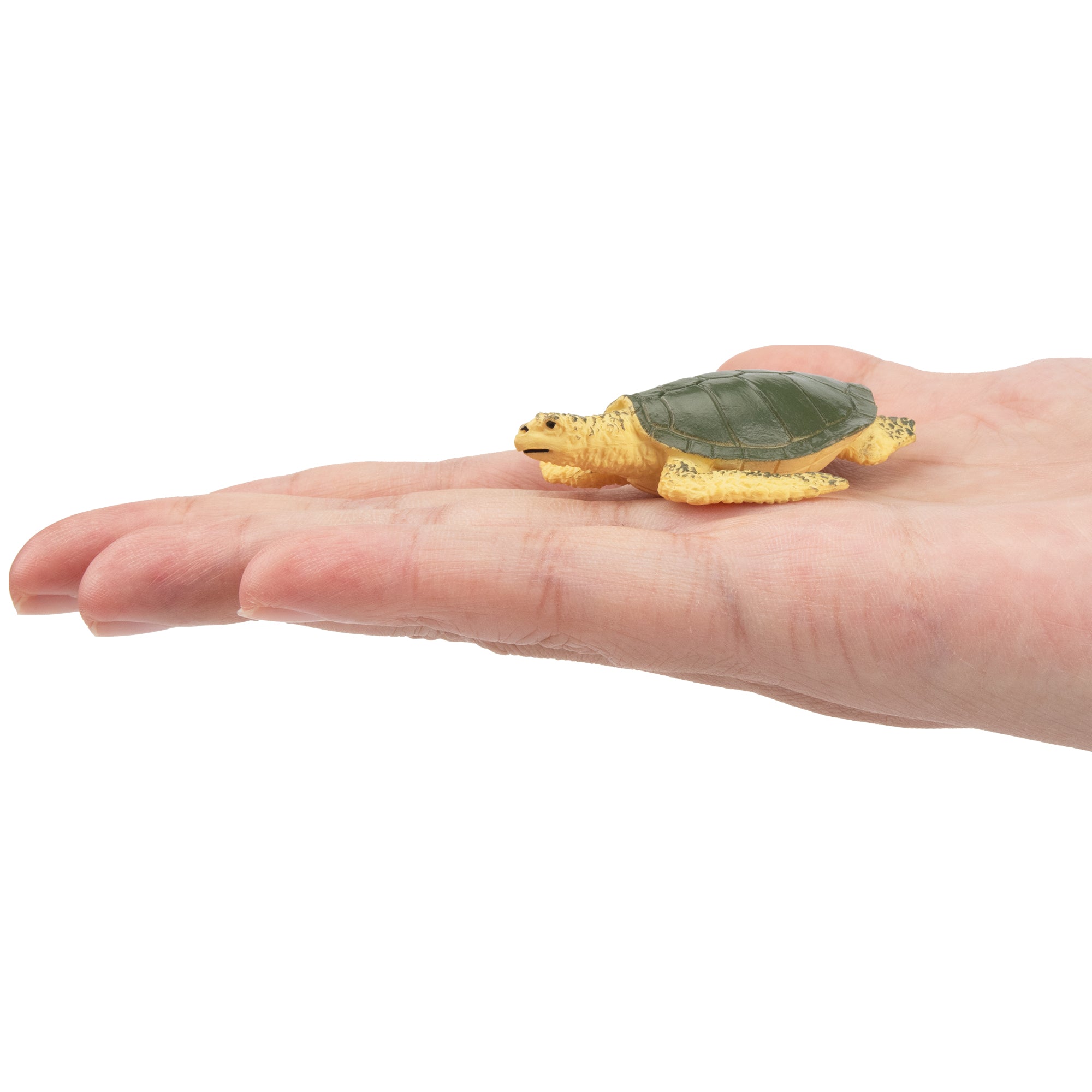 Toymany  Sea Turtle Figurine Toy-on hand