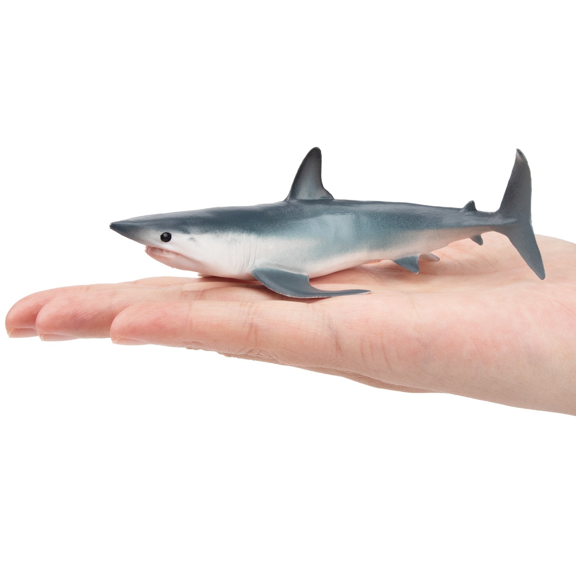 Toymany Shortfin Mako Shark Figurine Toy-on hand