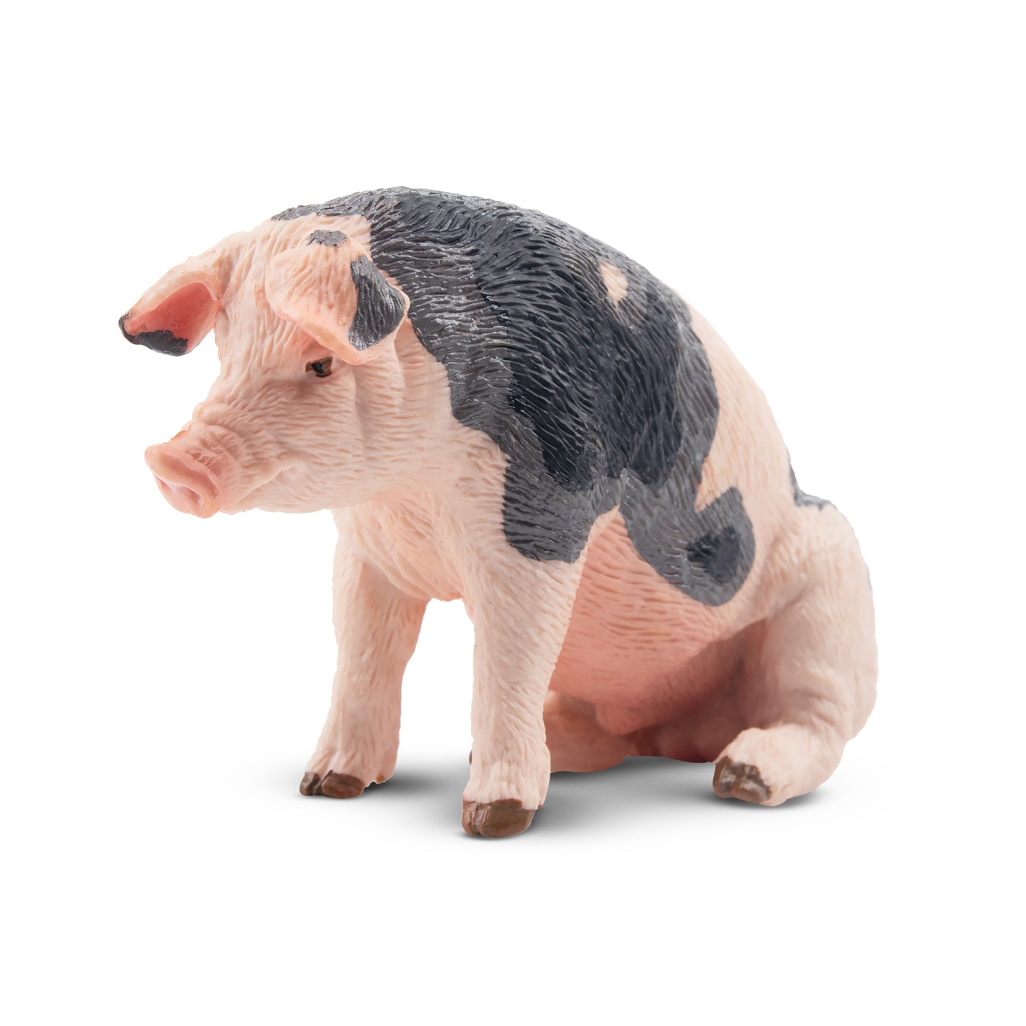 Toymany Sitting Grey Male Adult Pig Figurine Toy-front