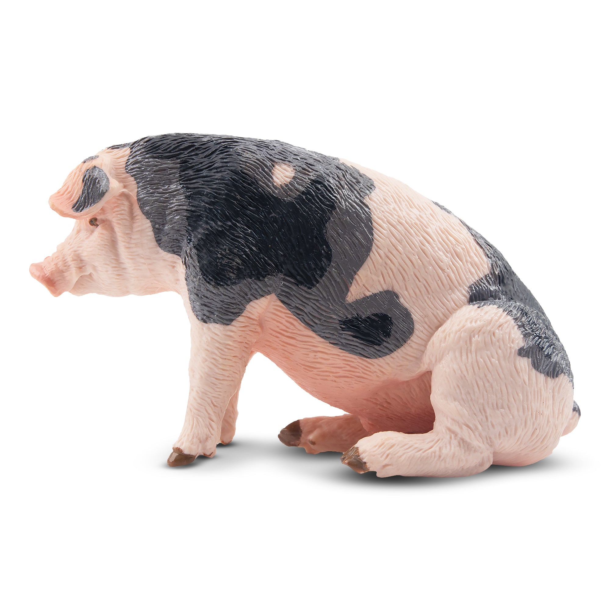 Toymany Sitting Grey Male Adult Pig Figurine Toy