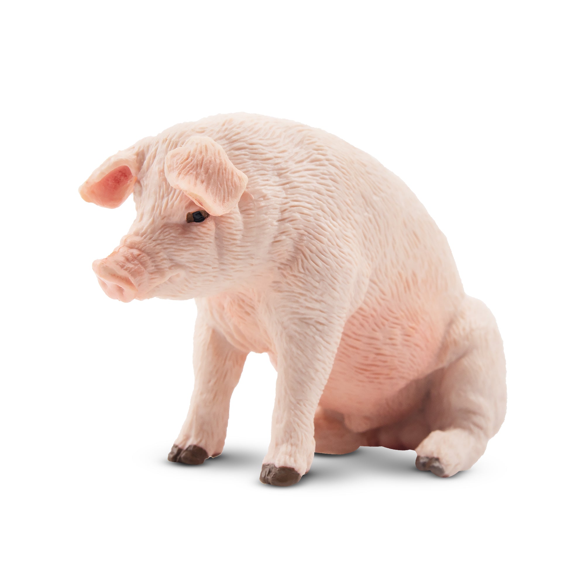 Toymany Sitting Male Adult Pig Figurine Toy-front