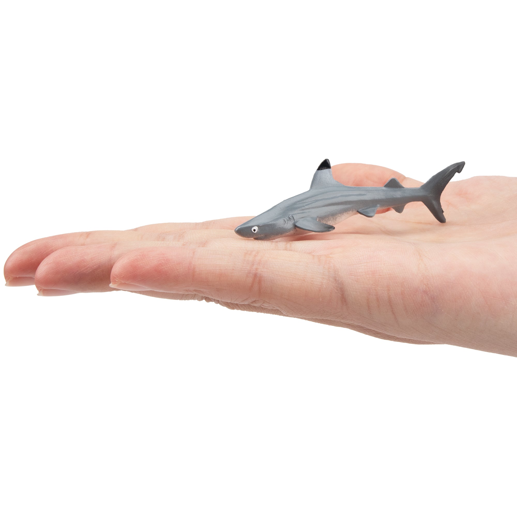 Toymany Small Size Blacktip Reef Shark Figurine Toy-on hand