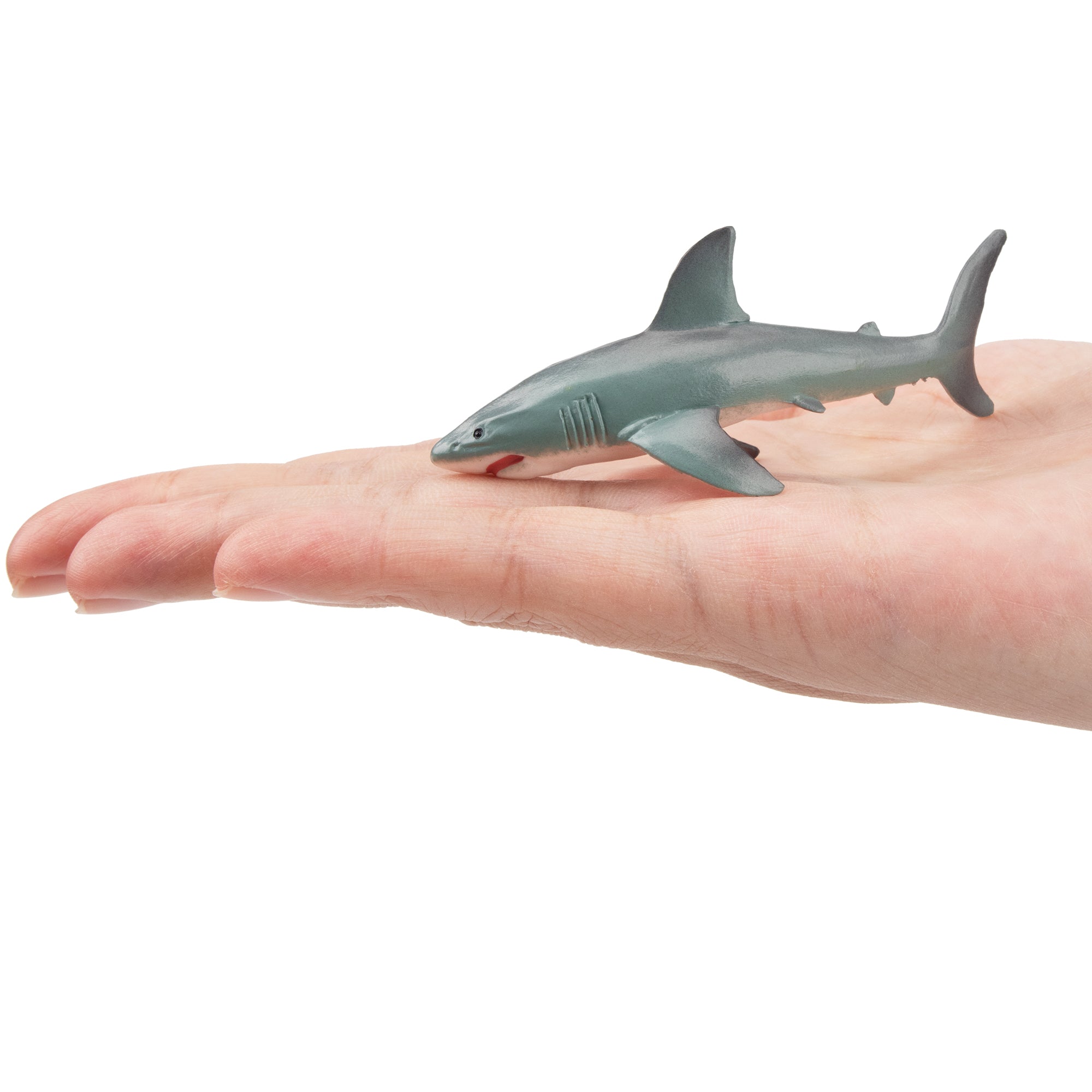 Toymany  Small Size Great White Shark Figurine Toy-on hand