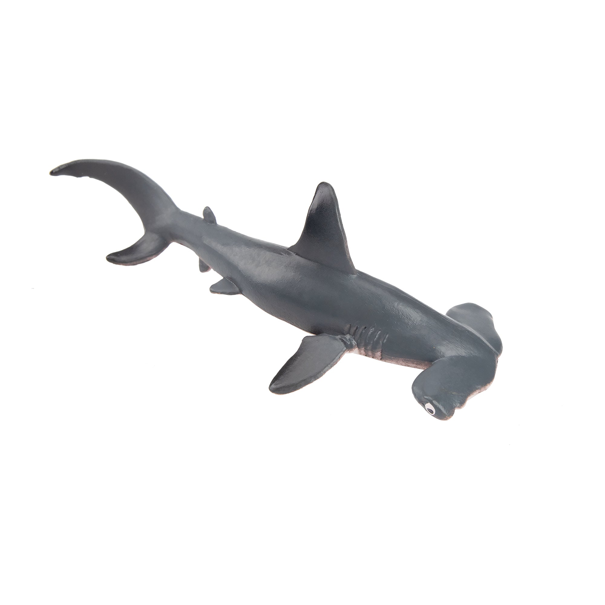 Toymany Small Size Scalloped Hammerhead Shark Figurine Toy-2