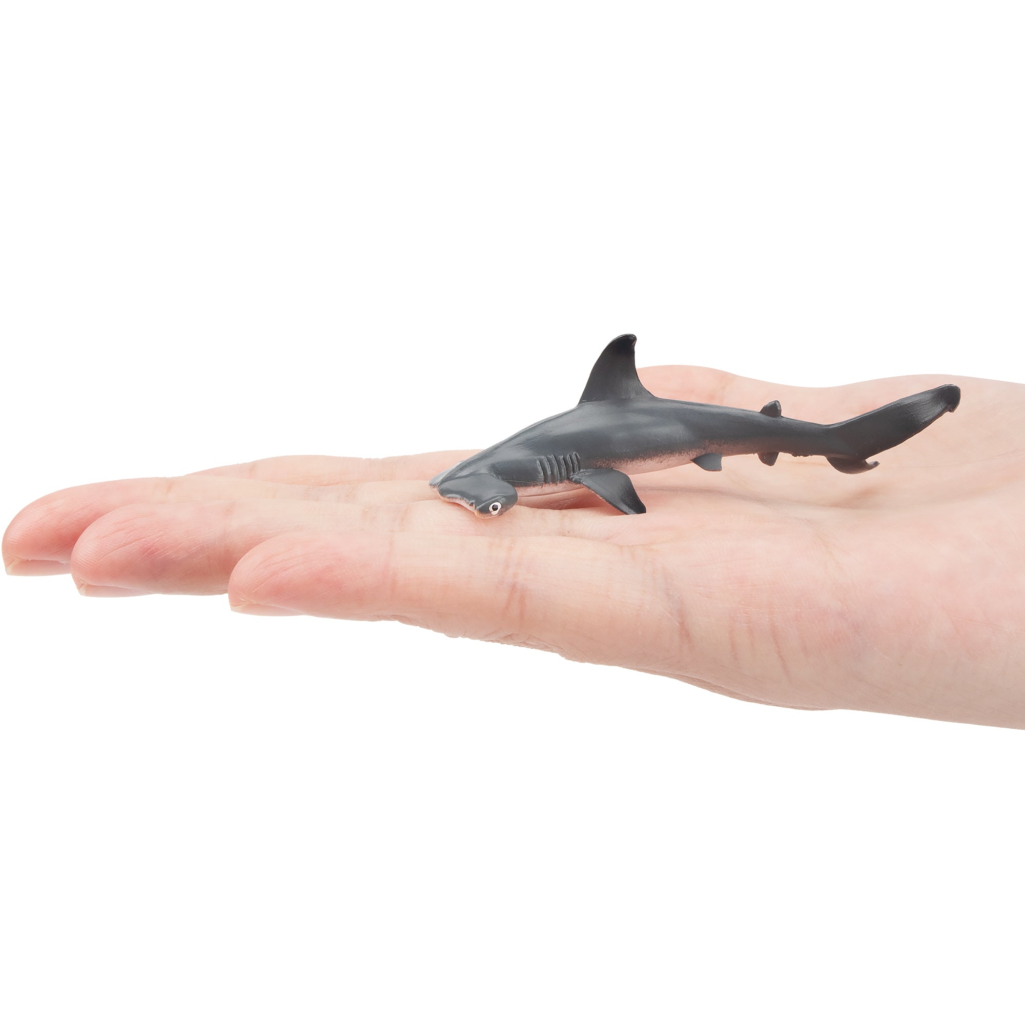 Toymany Small Size Scalloped Hammerhead Shark Figurine Toy-on hand