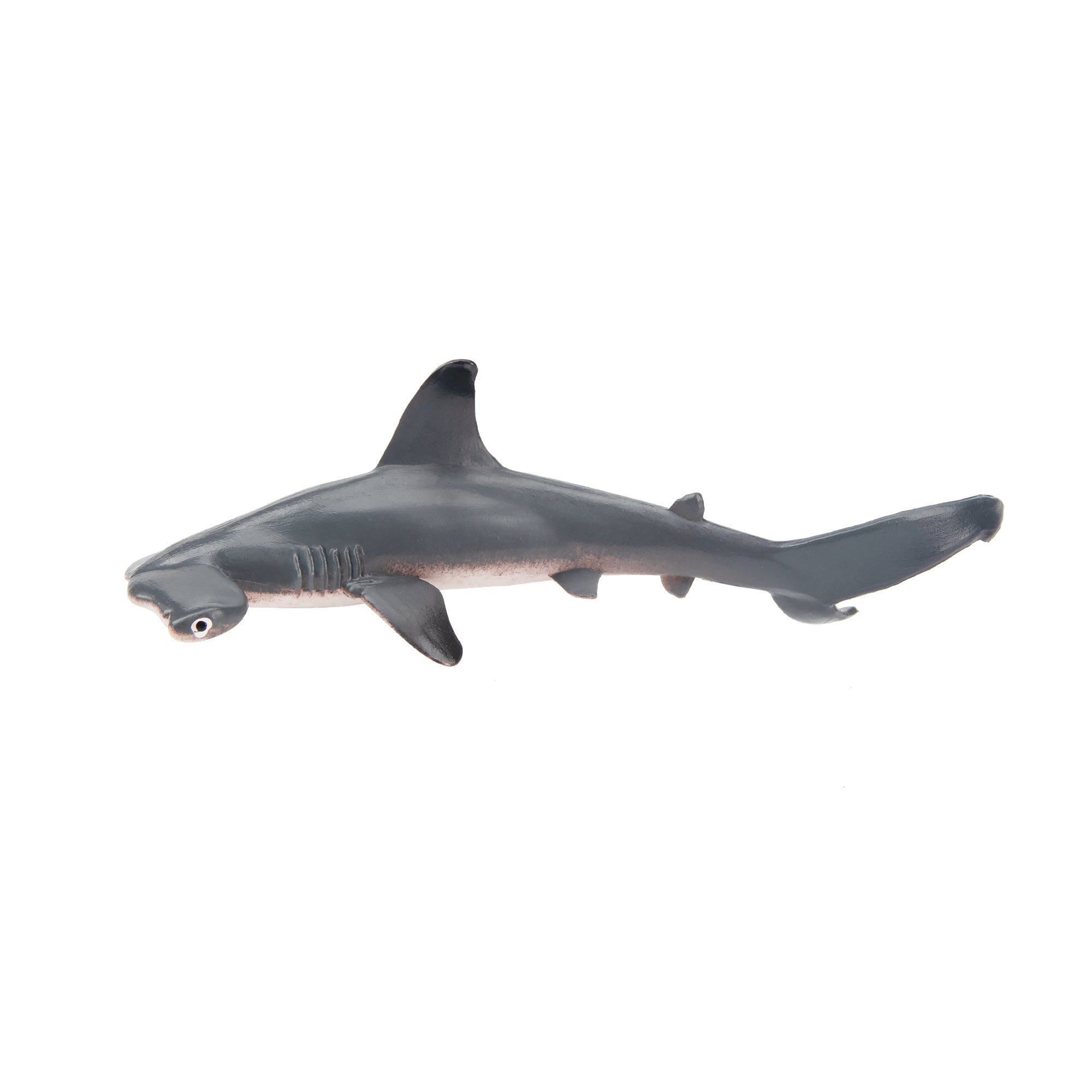 Toymany Small Size Scalloped Hammerhead Shark Figurine Toy