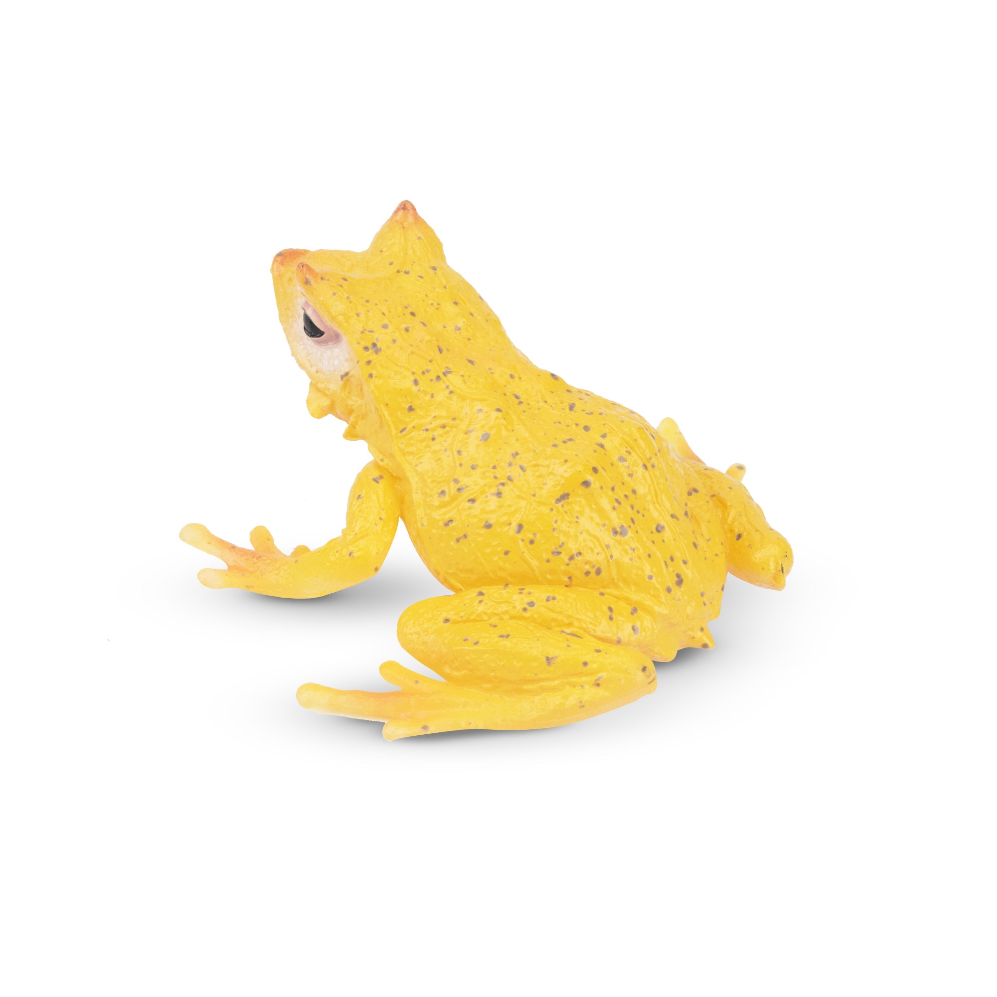 Toymany Solomon Island Leaf Frog Figurine Toy-back
