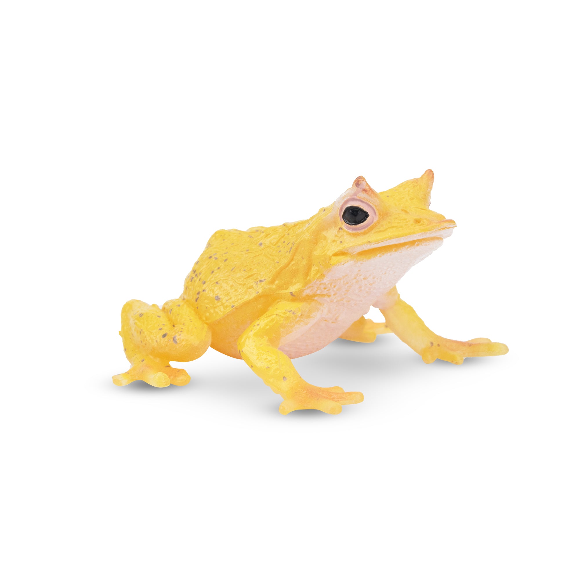 Toymany Solomon Island Leaf Frog Figurine Toy-front