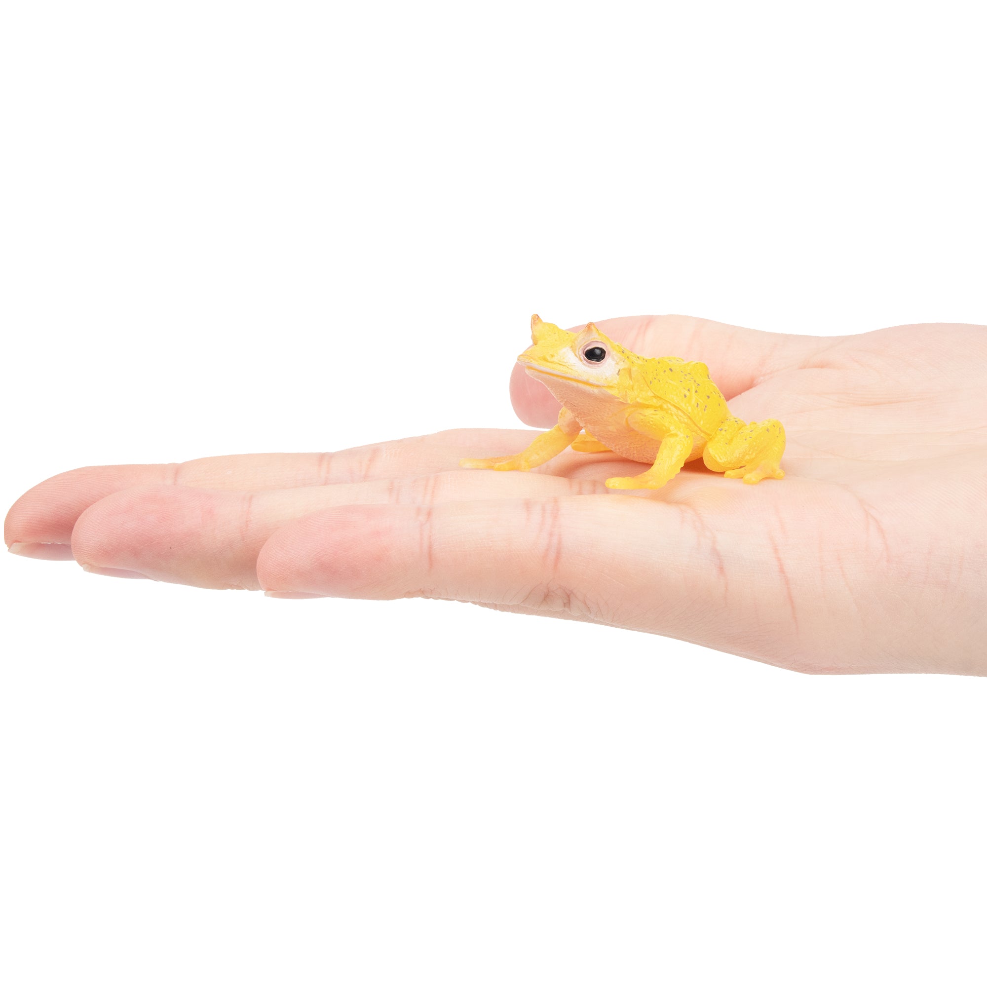 Toymany Solomon Island Leaf Frog Figurine Toy-on hand
