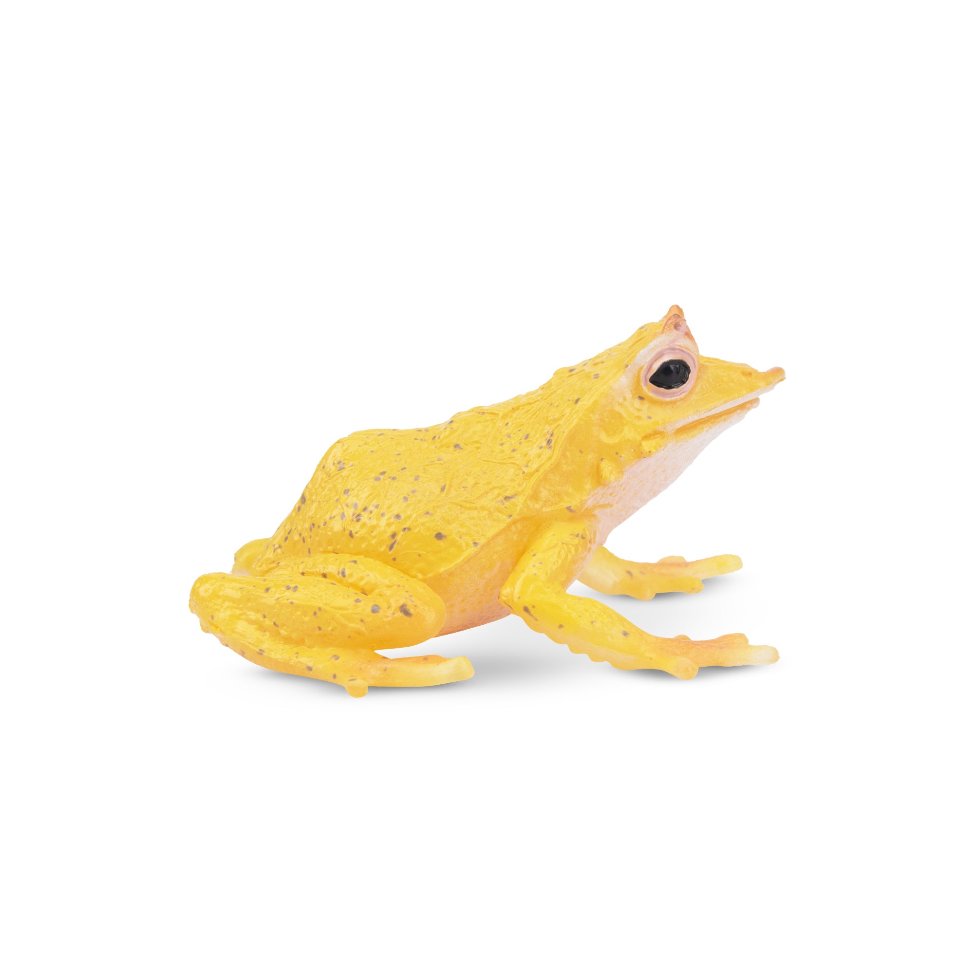 Toymany Solomon Island Leaf Frog Figurine Toy