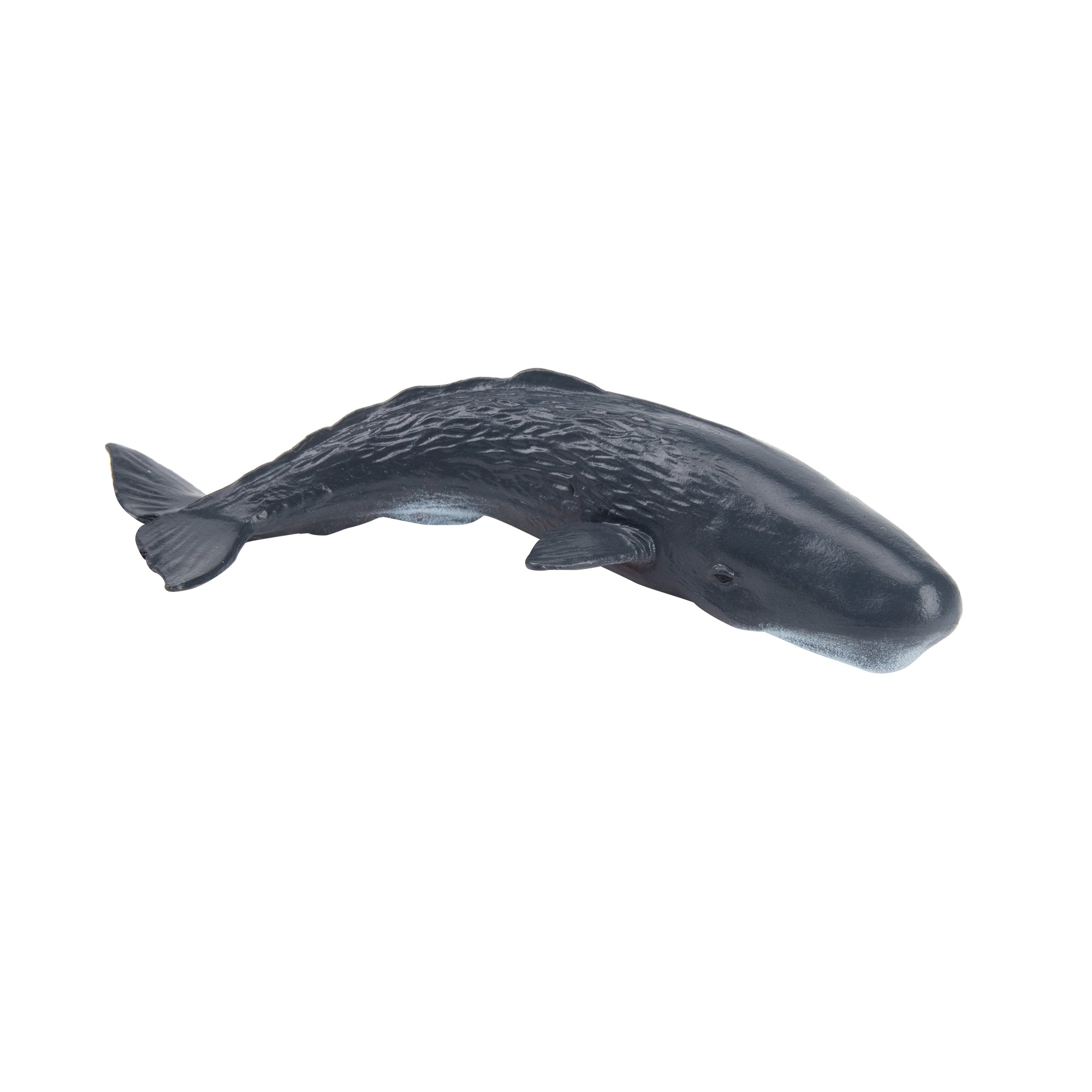 Toymany Sperm Whale Figurine Toy-2