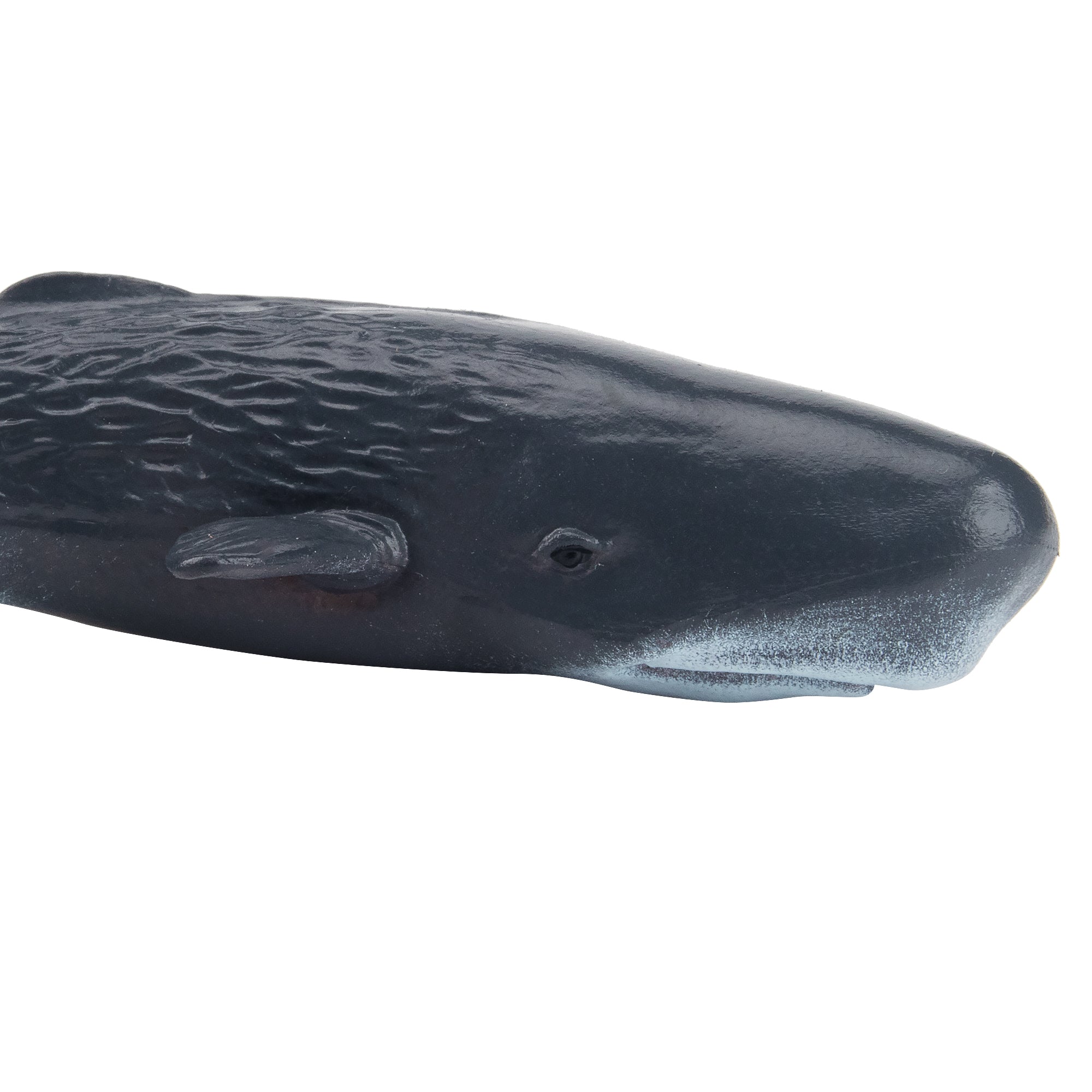 Toymany Sperm Whale Figurine Toy-detail