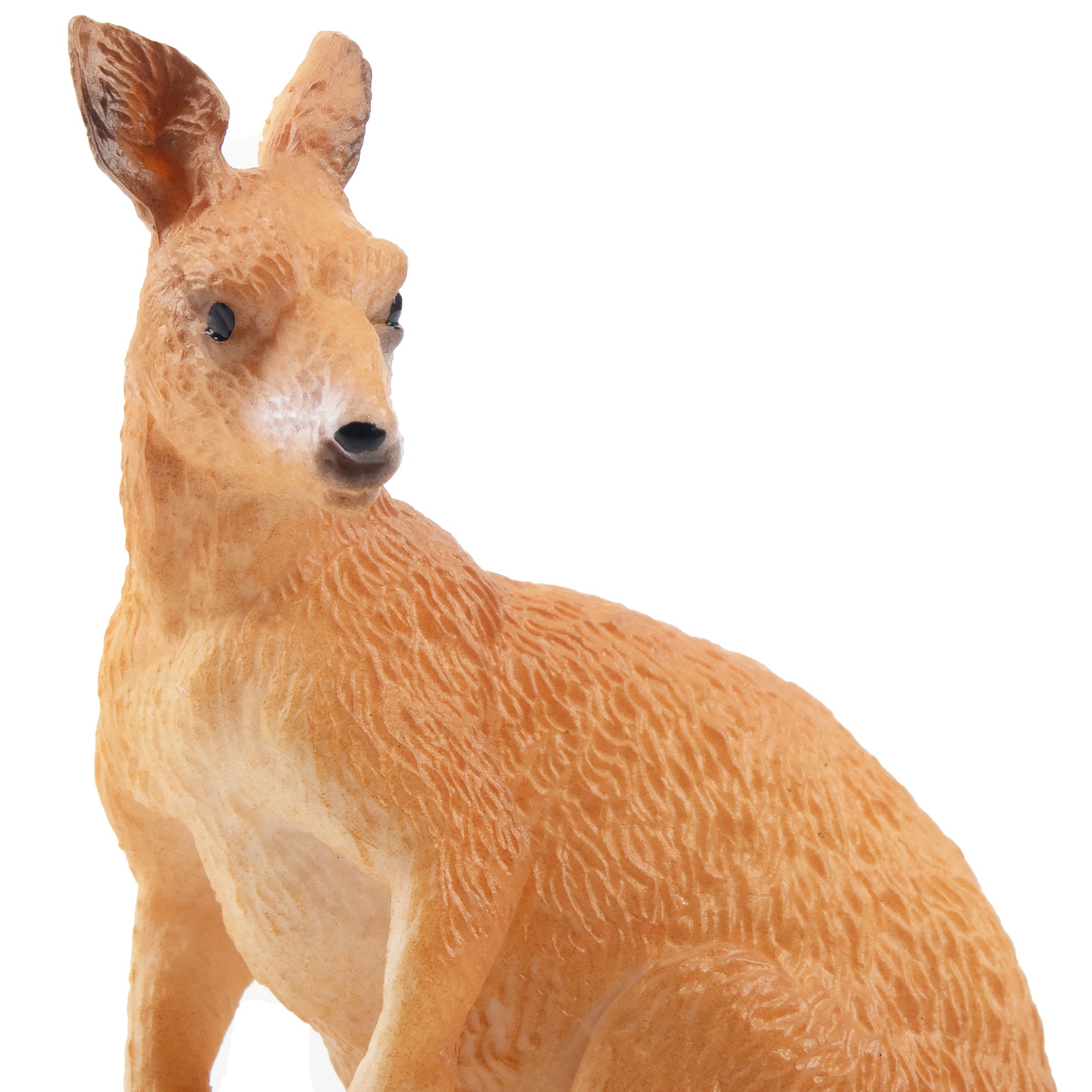 Toymany Standing Kangaroo-detail