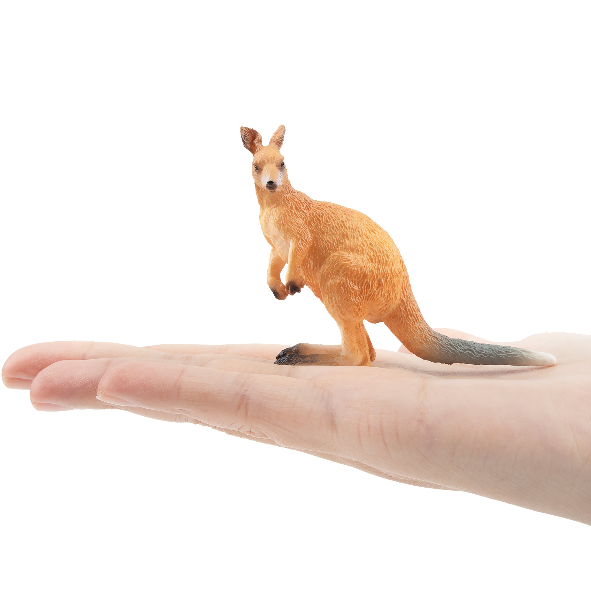 Toymany Standing Kangaroo-on hand