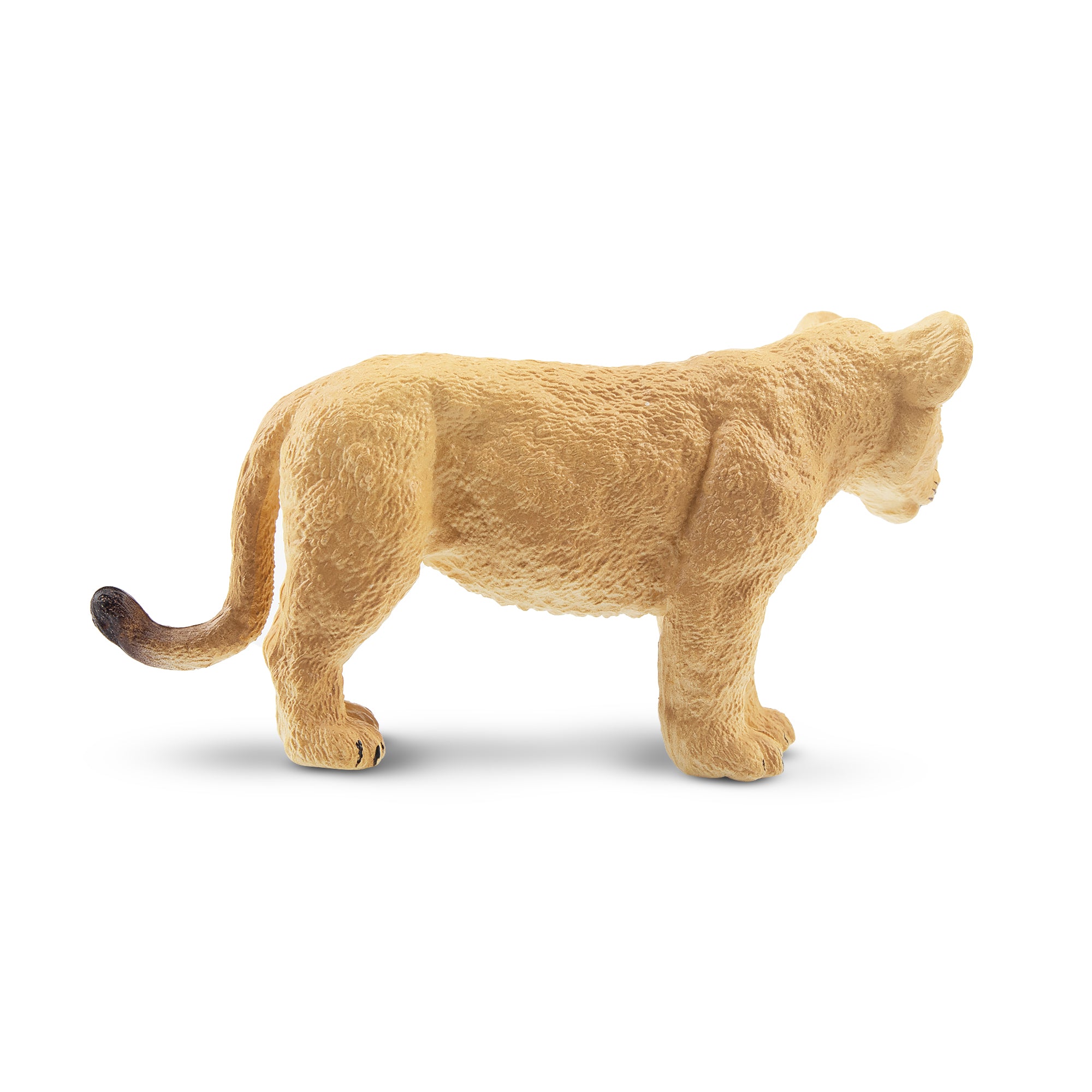 Toymany Standing Lion Cub Figurine Toy - 1-2